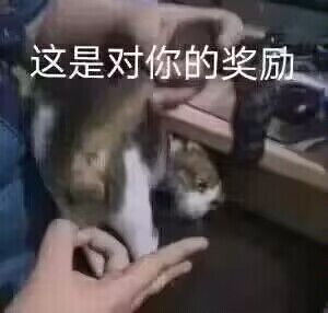 METABLOW-E300电动飞机杯评测，赛博朋克，科技狠活，阿鉴助理亲自下海！