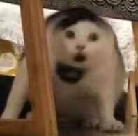 含有滑石粉会致癌？今天仔细讲讲保养粉的原理和使用