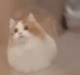 汤玛托易士-圣少女sleepless联名款飞机杯评测,间宫麻里绘（中刺激）