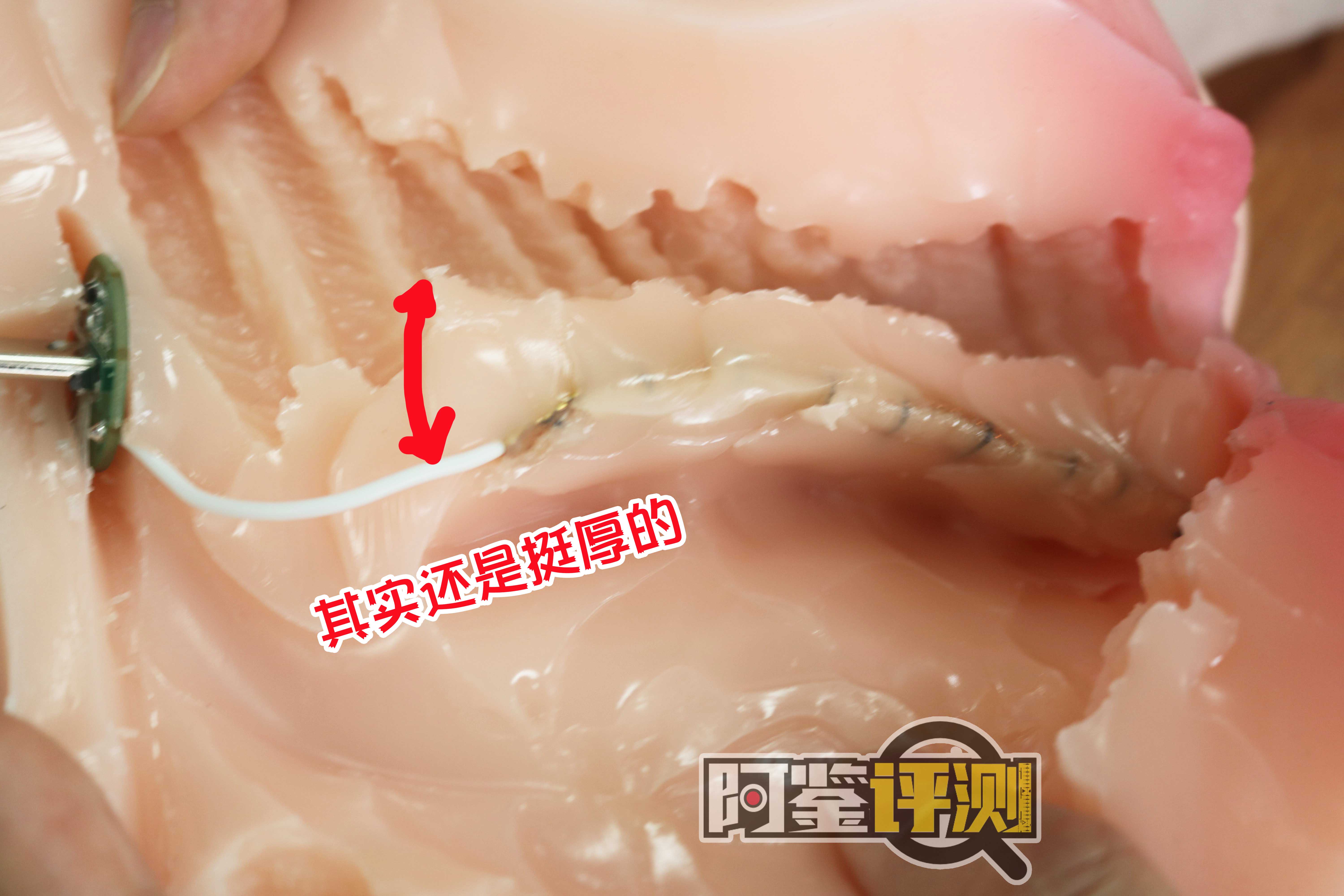 趣网-“绫音学妹”（加热款）评测！国产加热飞机杯内卷开始？