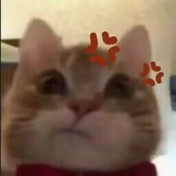 汤玛托易士-“傲慢表妹”评测！另一种口味的慢玩，松垮设计型慢玩！