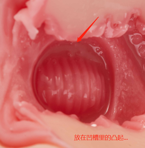 趣网-琉璃兔（排气杯）评测！高质量胶体！玩法类似R20的进阶长形名器