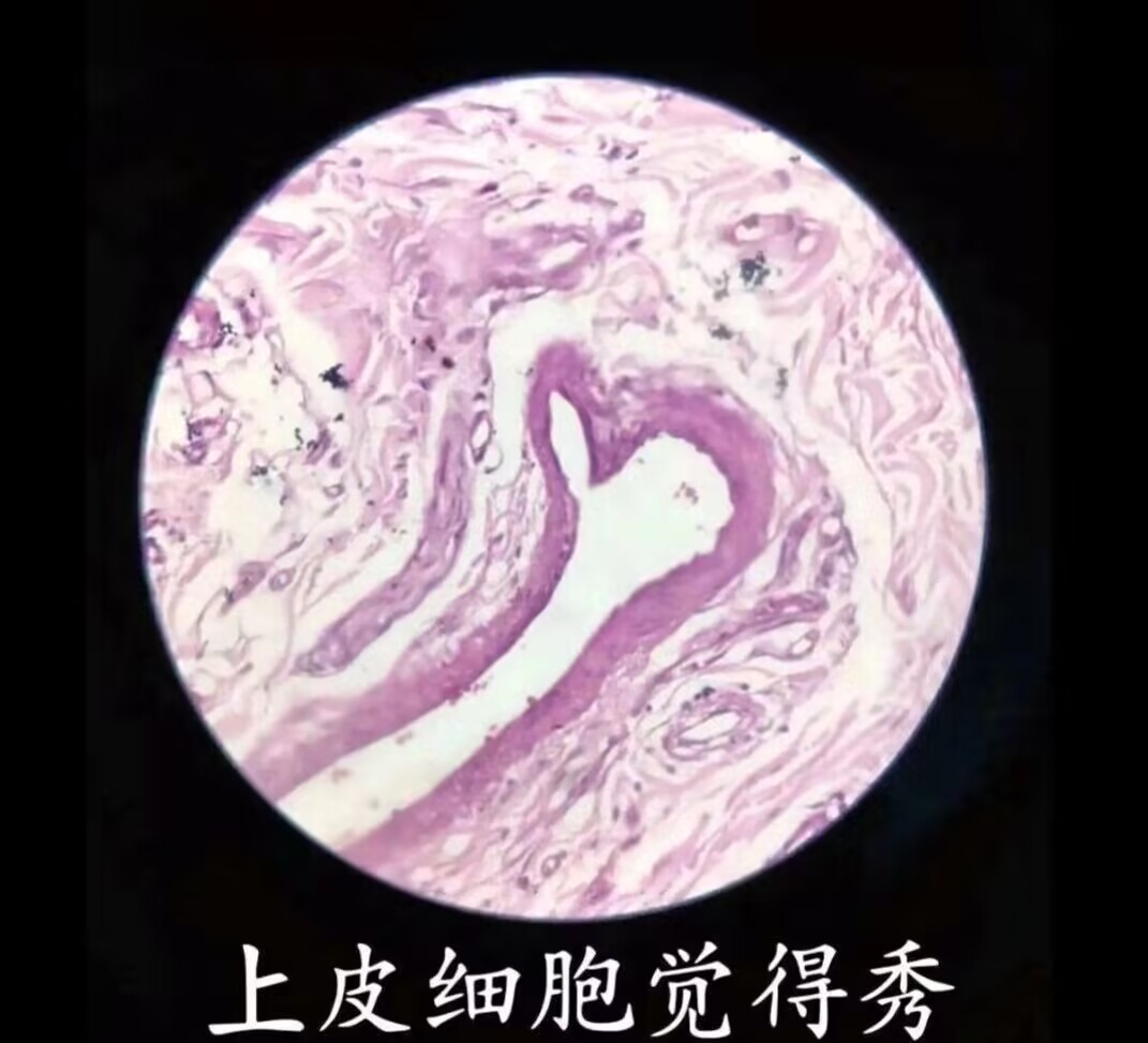 前列腺按摩器大评测!新手入门推荐,各类大对比!