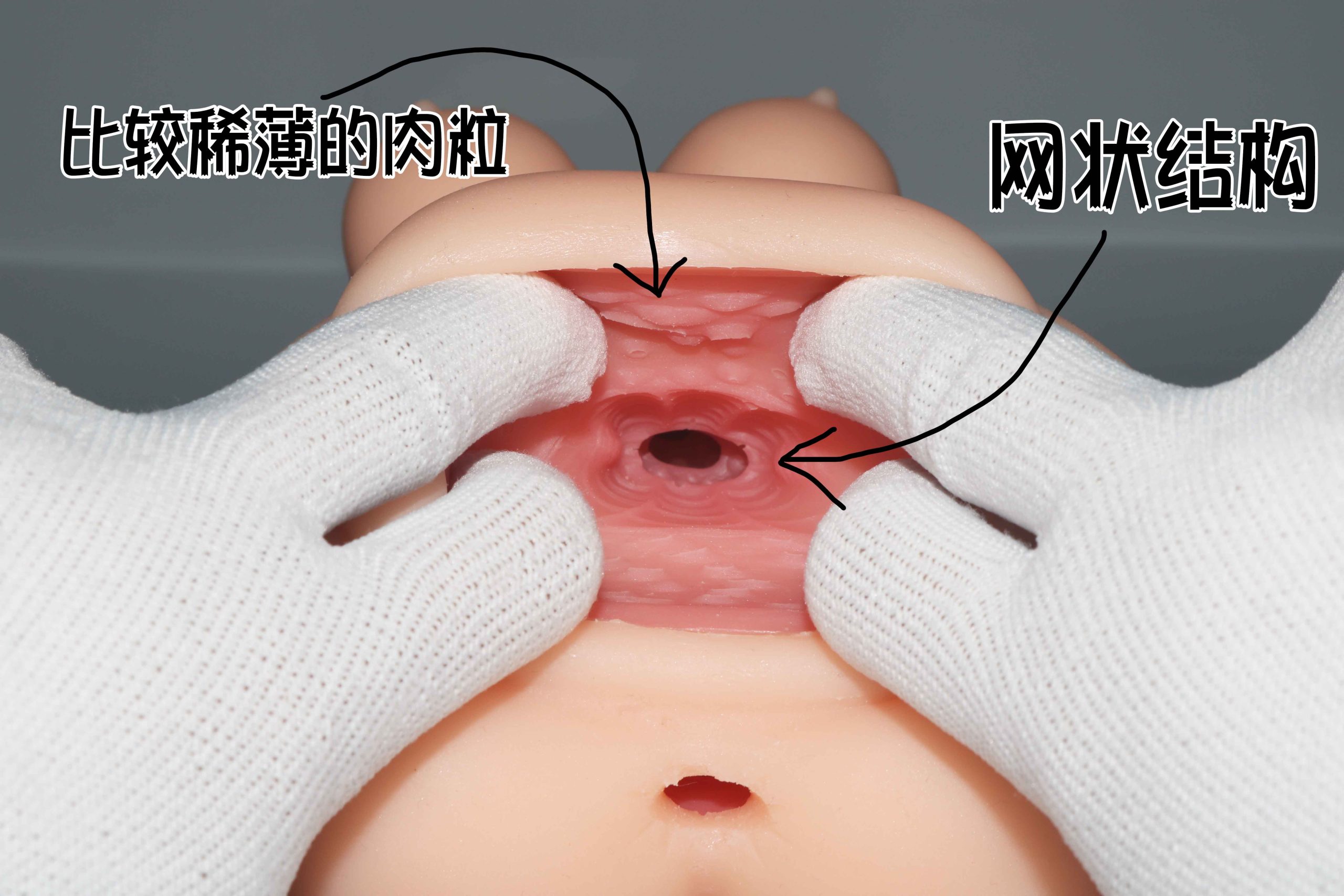 LoveFactor春风精灵(双通道)评测!慢玩+颗粒感+仿真外观,不错的双通道名器!