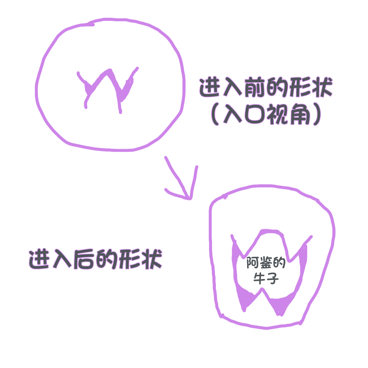 Hotpower-“淫梦国精灵公主”评测！蛇形深喉飞机杯，日本人的白娘子