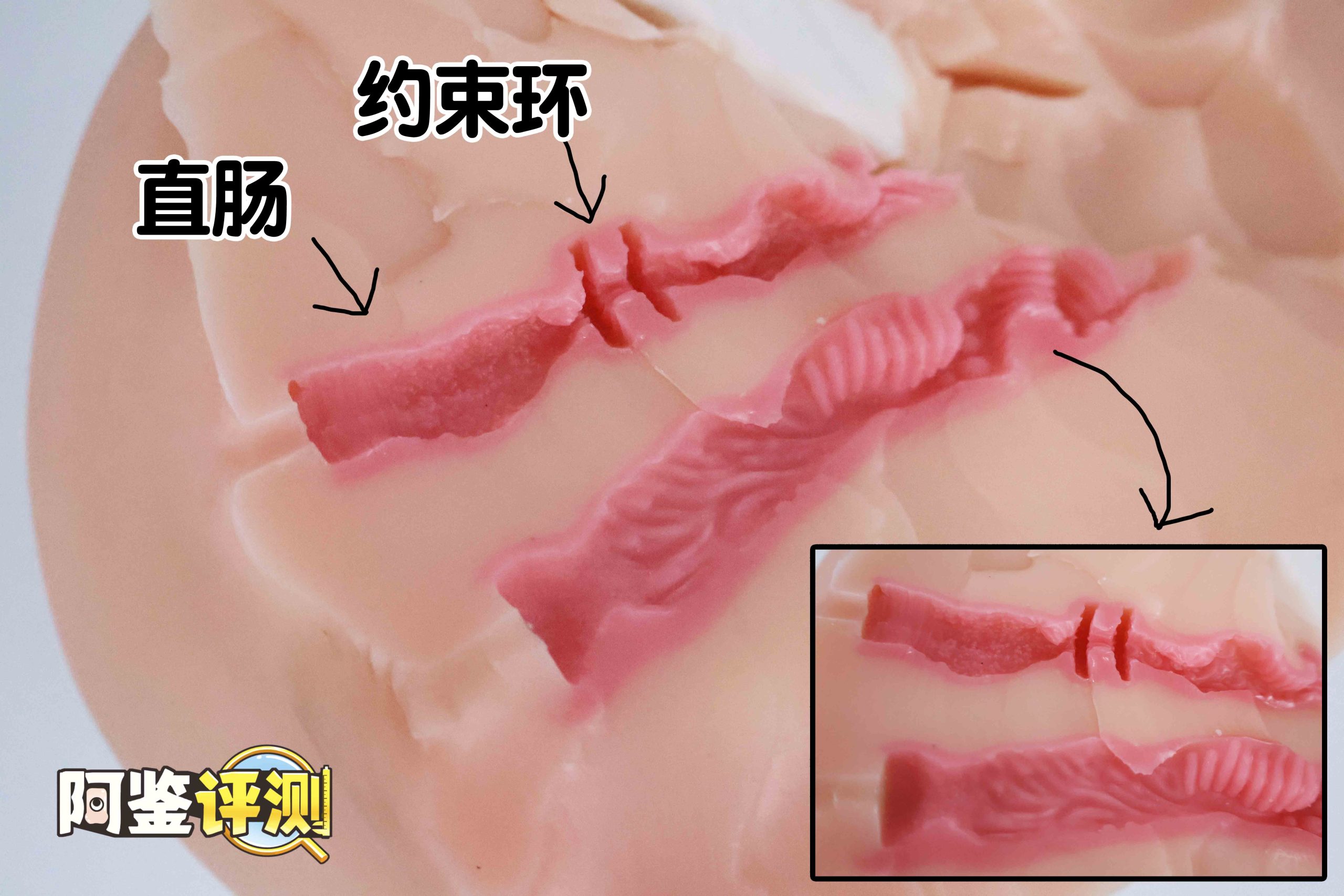 Lovefactor“风铃御使”评测！臀模界的革新工艺，真实形态的肉感波浪！