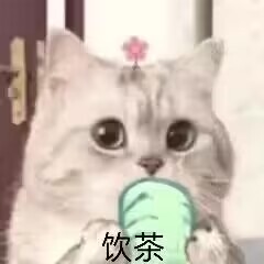 LoveFactor-完熟女郎（大身体）评测！完美的后入“炮架”，力与力的“相互作用”！