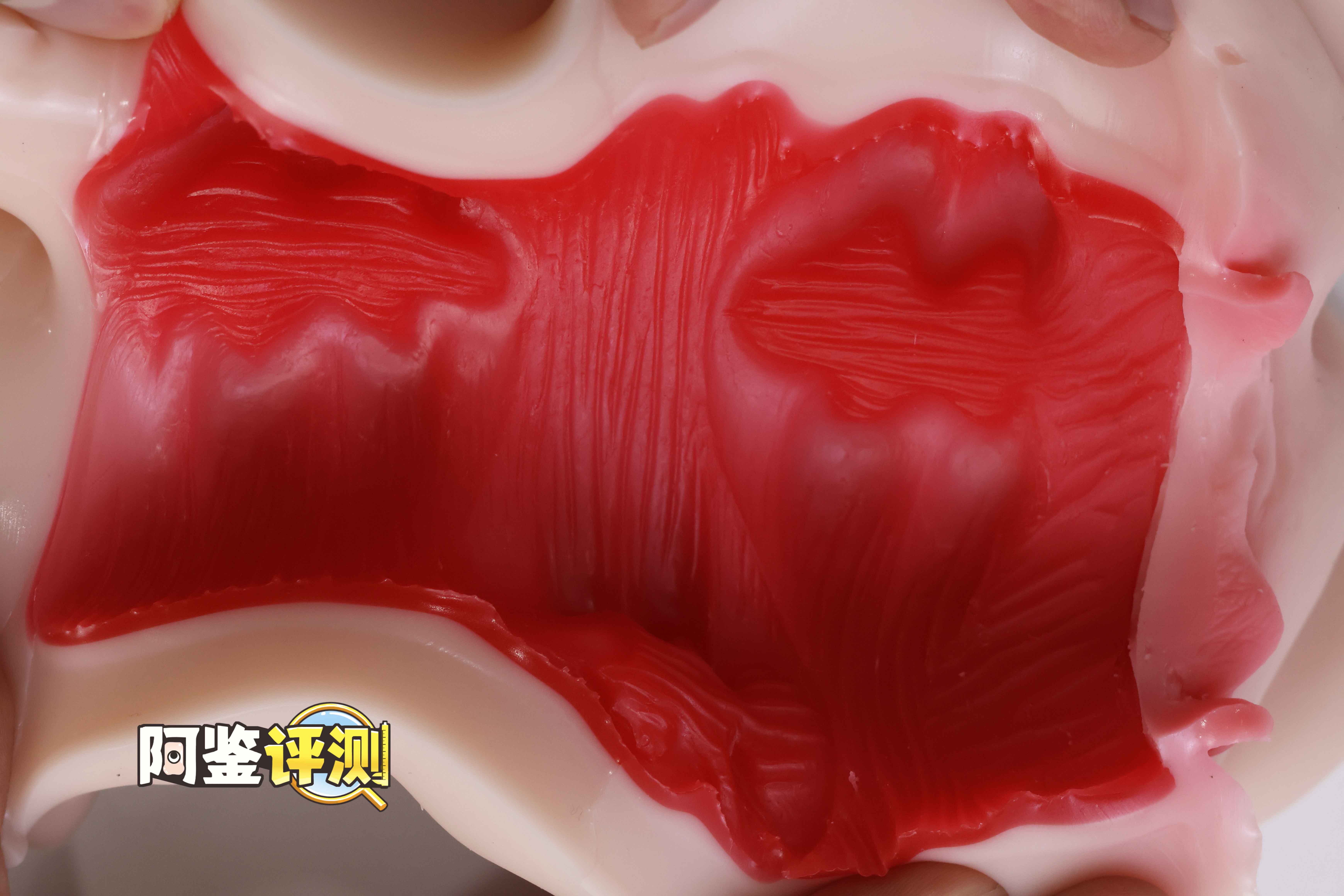 HRPR—“铃鹿学妹”评测！新品牌首秀！又一款三层慢玩设计飞机杯~