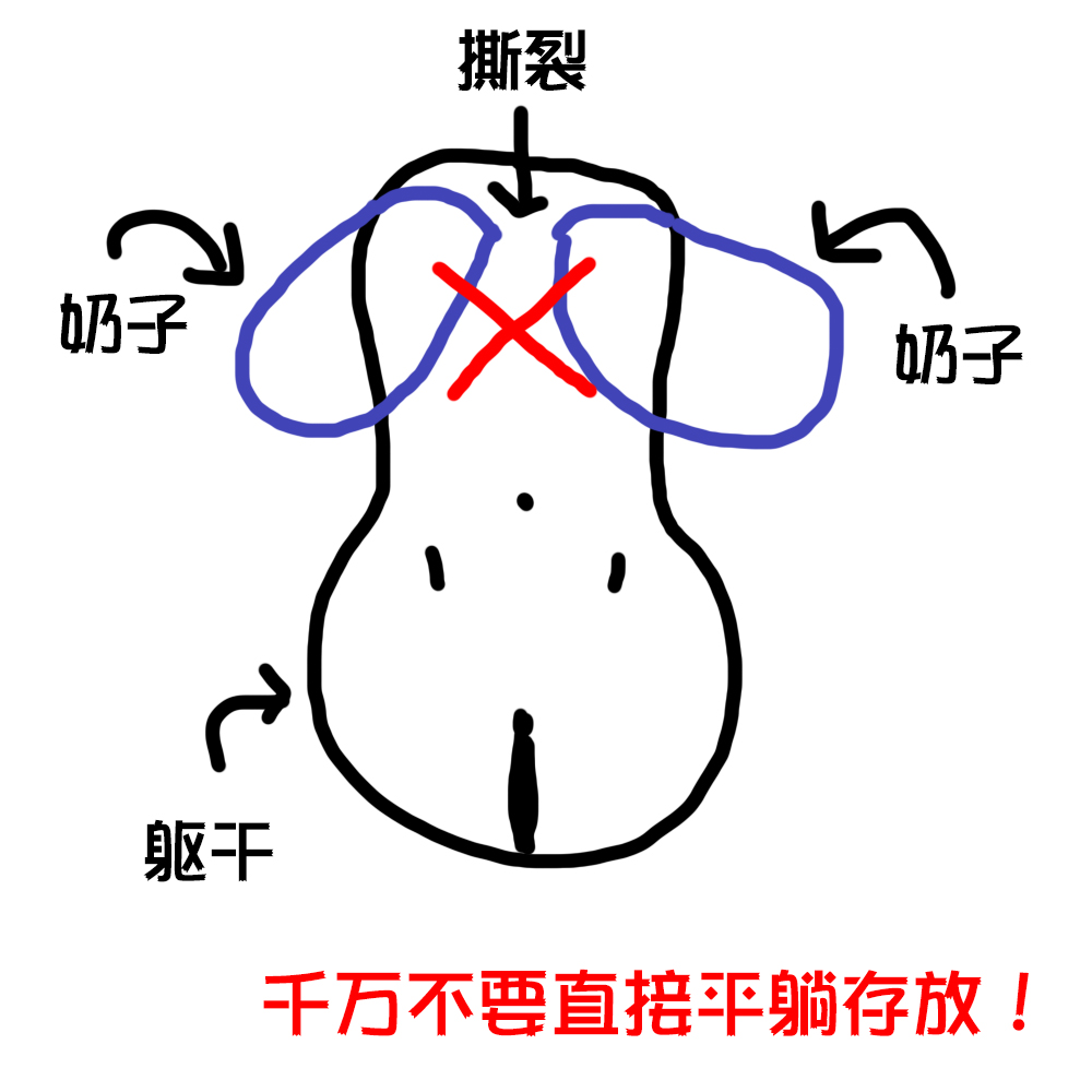 2023年秋（7-9月）评测大总结，综合排名集合！弟弟喜欢的好东西大盘点！