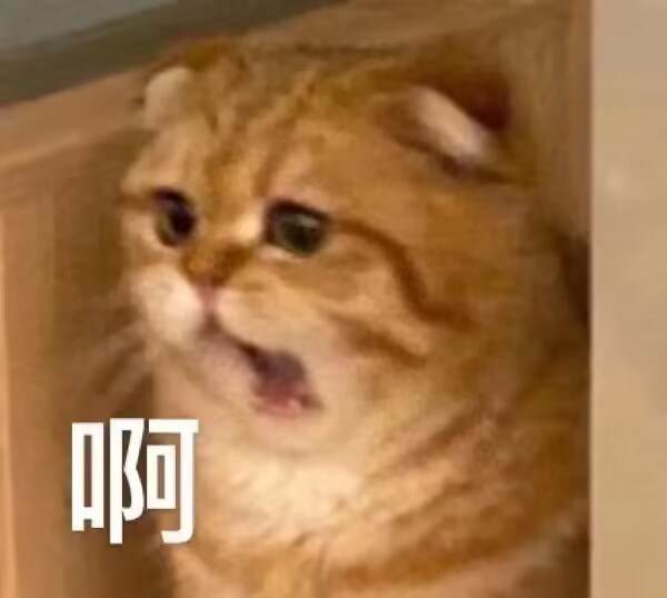 RIDE JAPAN——“眼镜娘护士”评测！对于颗粒感超强的慢玩，牛牛的反应不太确定...