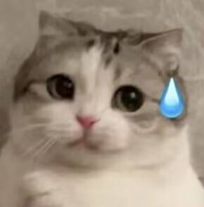 RIDE JAPAN——“眼镜娘护士”评测！对于颗粒感超强的慢玩，牛牛的反应不太确定...