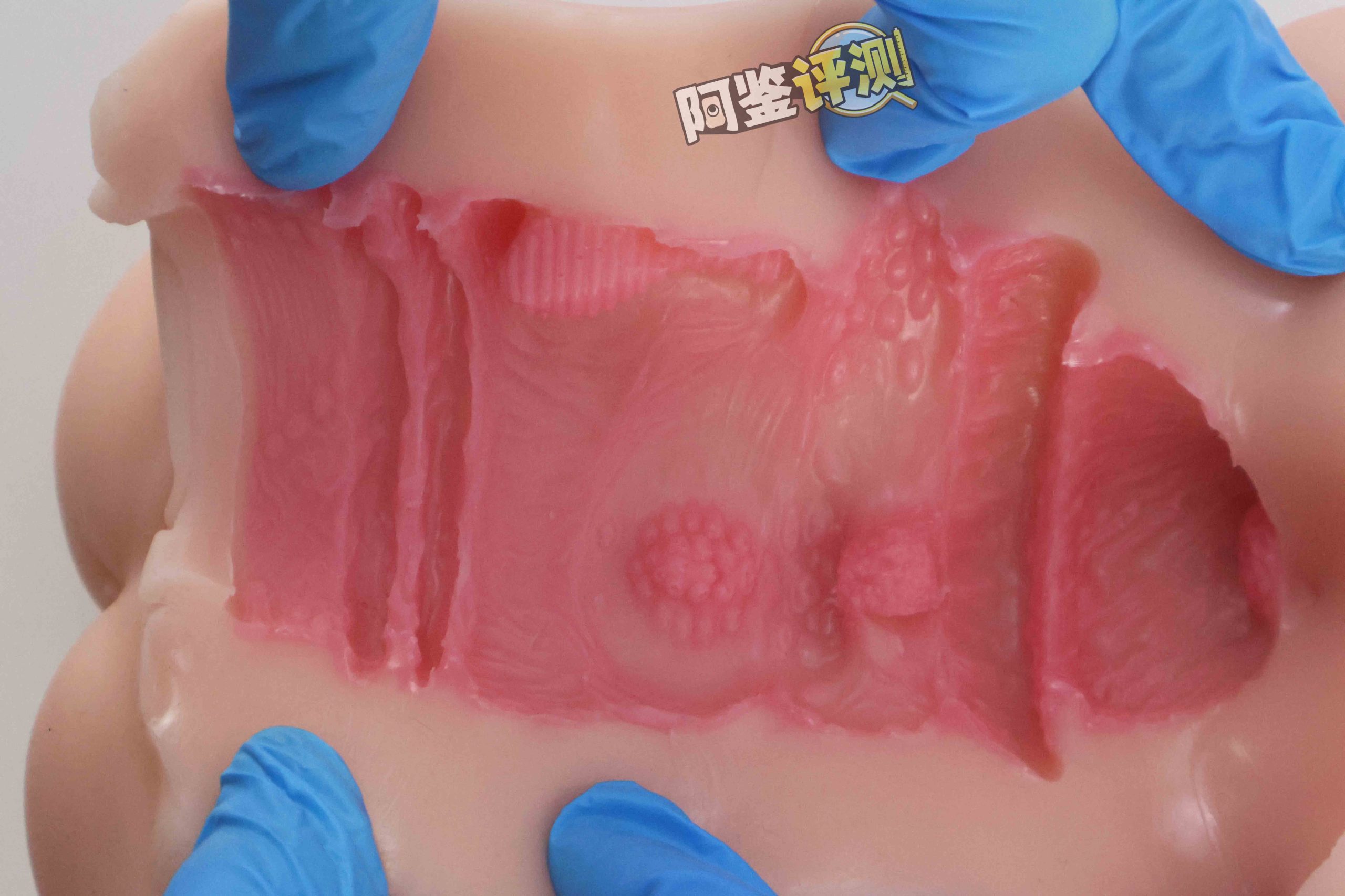 GXP—“异世界狐娘”评测！冬天冻吊训练神器，会“翘头”的大肉粒你见过没？