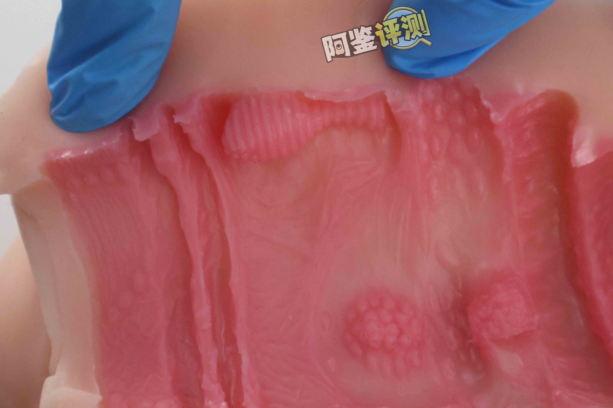 GXP—“异世界狐娘”评测！冬天冻吊训练神器，会“翘头”的大肉粒你见过没？