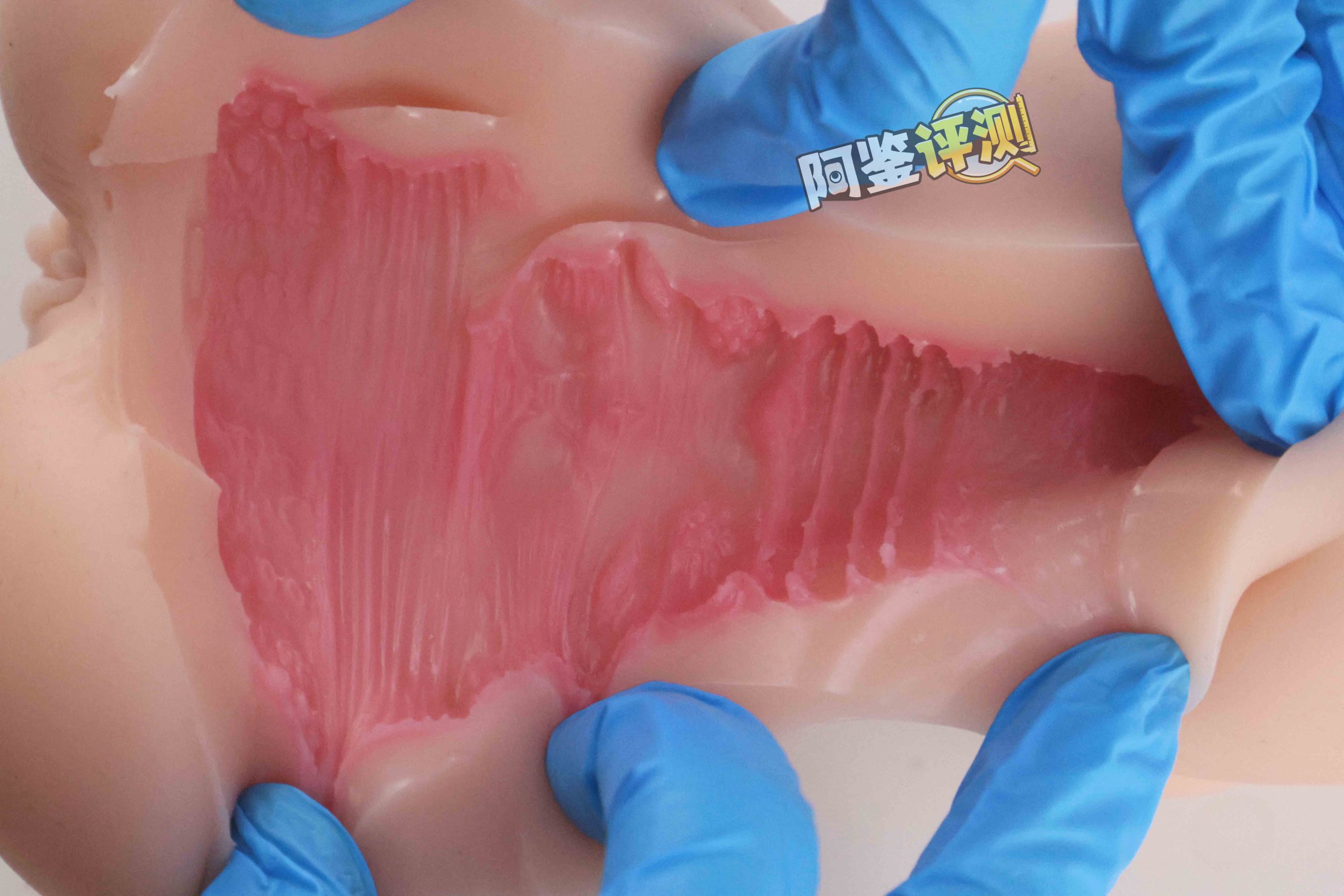 GXP—“异世界狐娘”评测！冬天冻吊训练神器，会“翘头”的大肉粒你见过没？