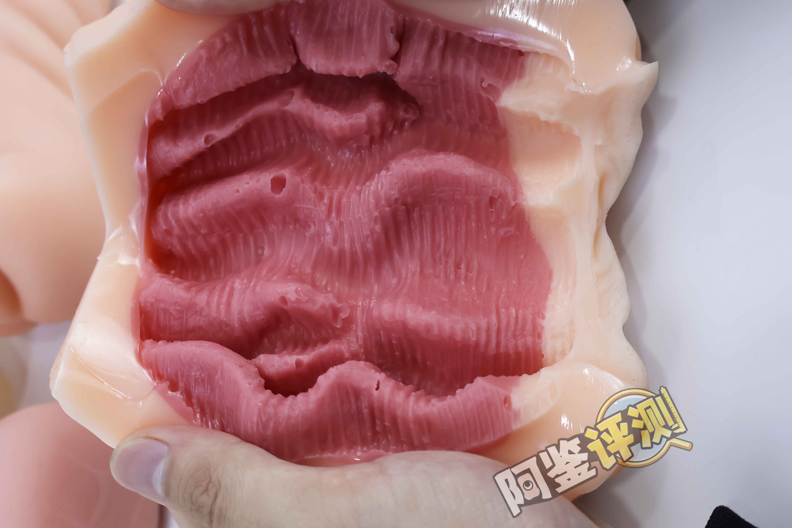 汤马托易士——“骑乘前辈”评测！硬感高刺激“日系大刀肉”！高难度的榨汁感！