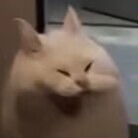 涩井“延时喷雾/湿巾”评测！麻醉换来的【耐久度】，是维护男人尊严，还是自欺欺人？