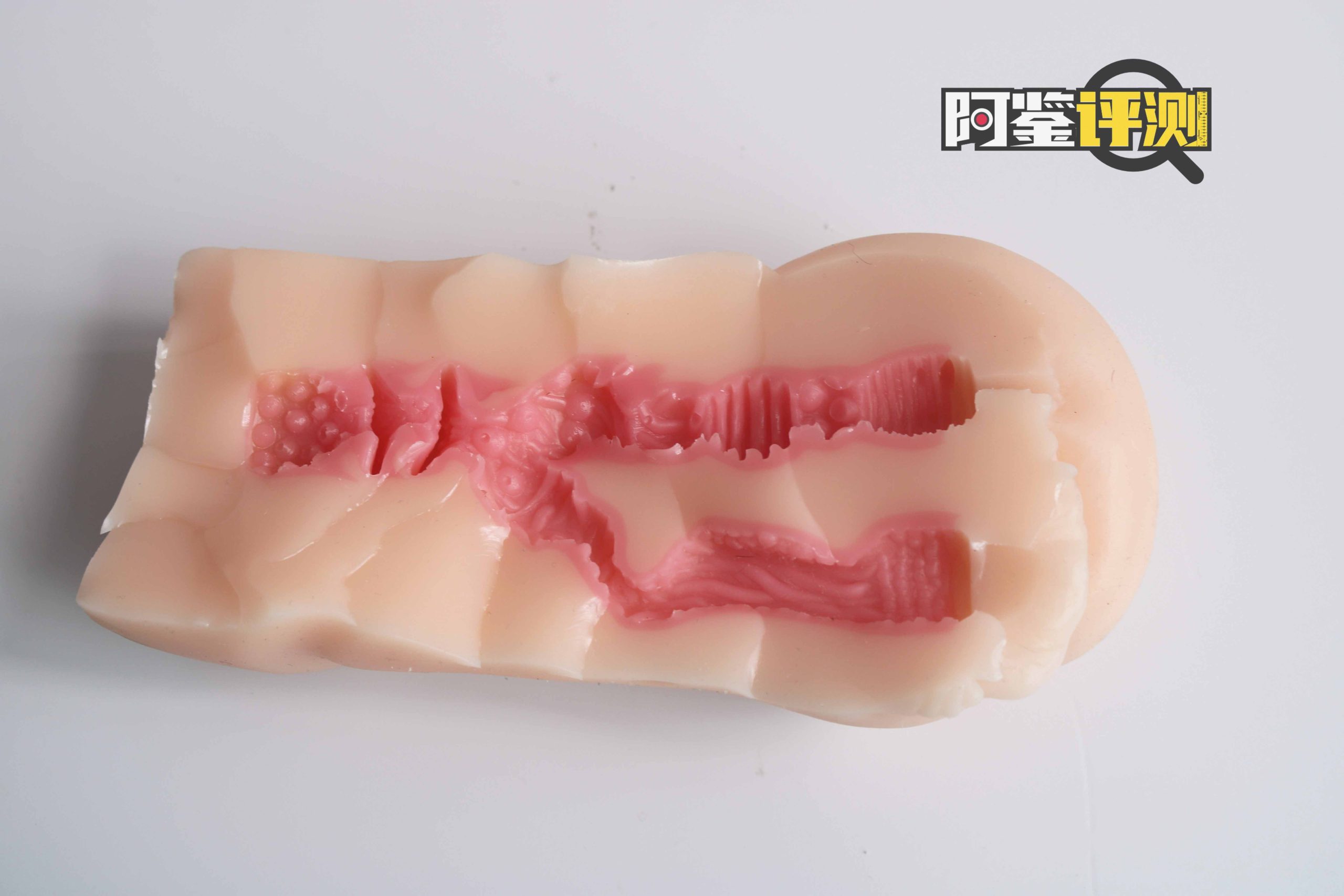 GXP—“异世界蝙蝠娘”评测！异世界终章！最让人失望的一集