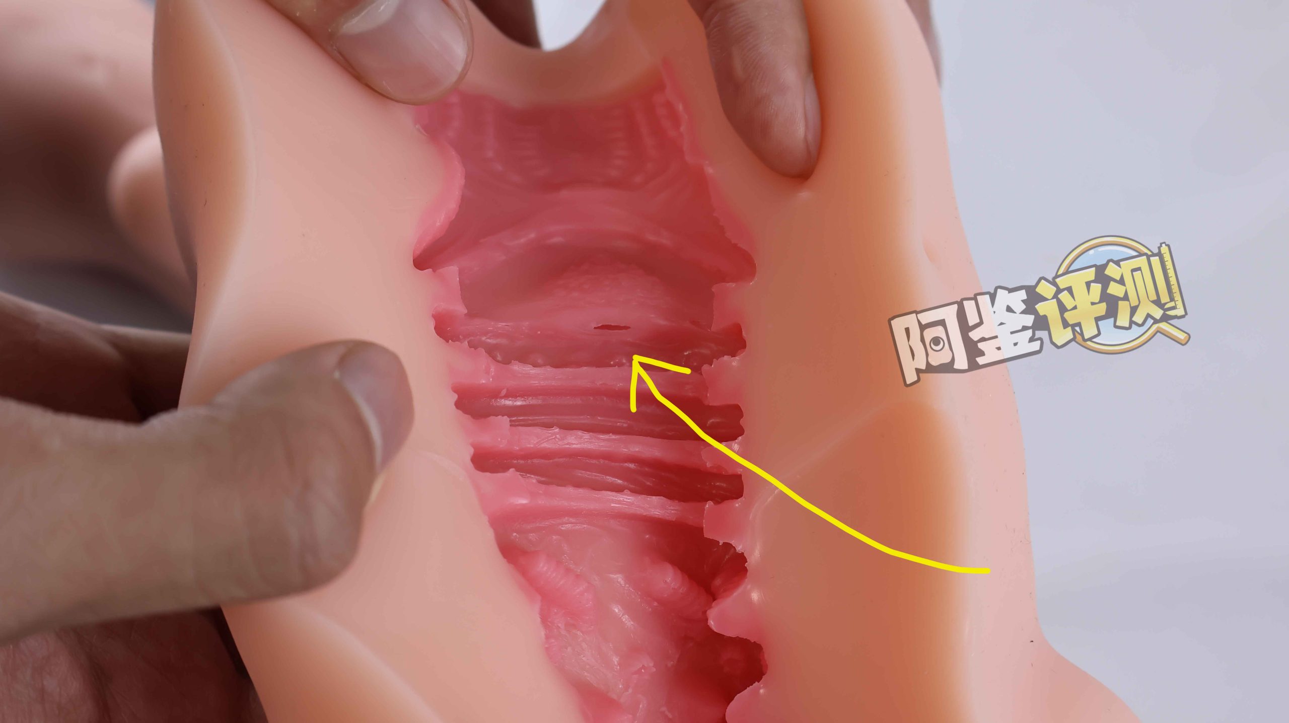 AGIaegir——“星座传说-魔蝎座”评测！新品牌试水之作，肉片结构表现如何？