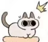 GXP——“夏威夷之旅”评测！最夸张的20kg“健身道具”，两处软胶的（超级贵）娃娃级玩具！