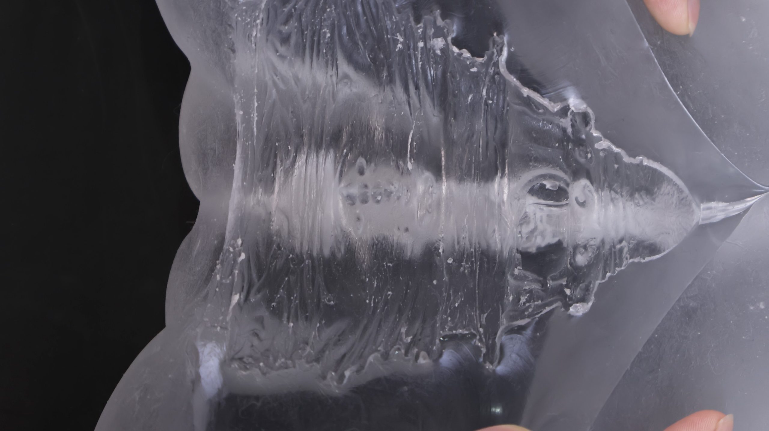 LoveFactor——“应援会长(透明版)”评测!硬度的变化如此之少,似乎只是为了透视噱头