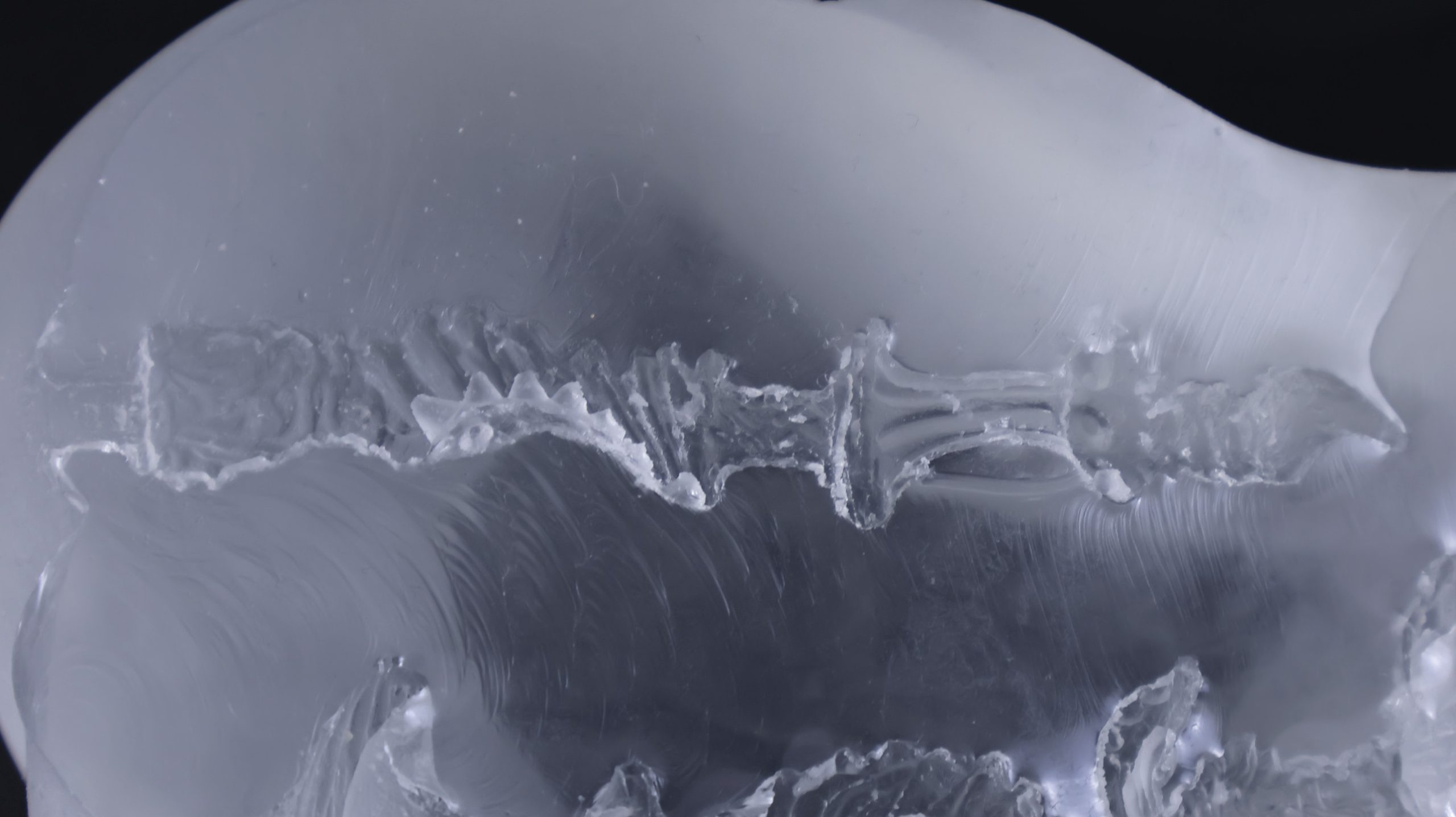 LoveFactor——“应援会长(透明版)”评测!硬度的变化如此之少,似乎只是为了透视噱头