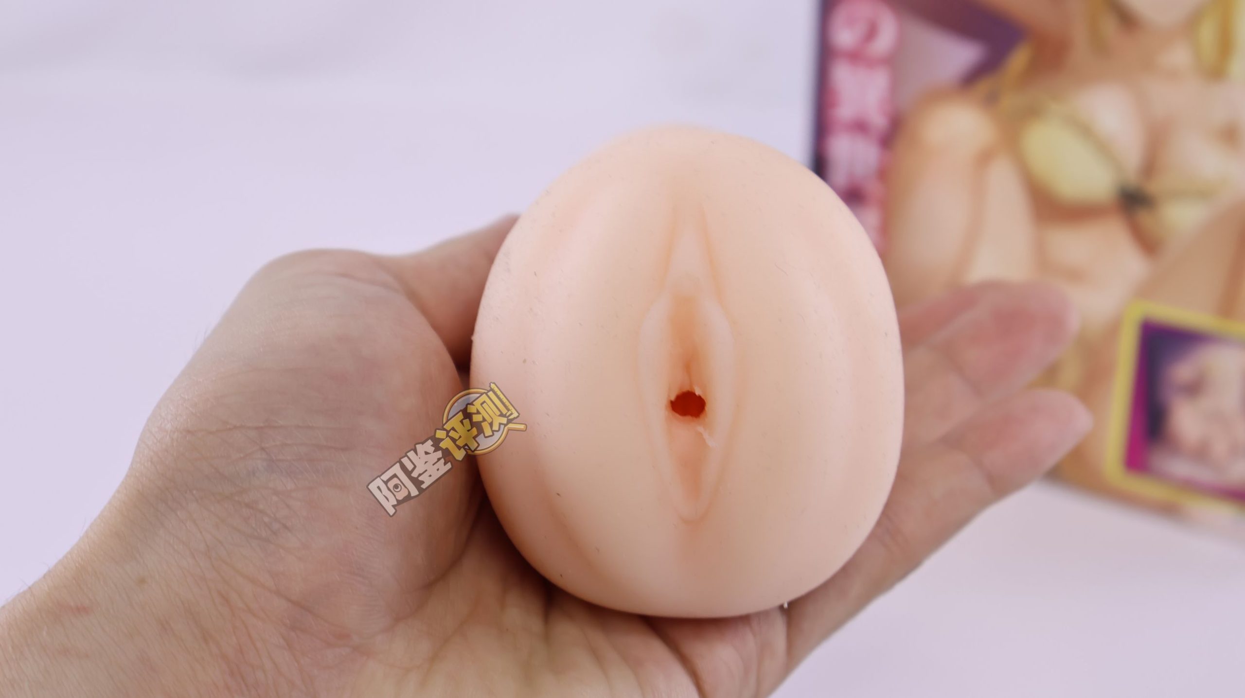 汤玛托易士——“异世界后宫物语—娜塔莉亚”评测！肉片杯这东西真的是越做越无聊了