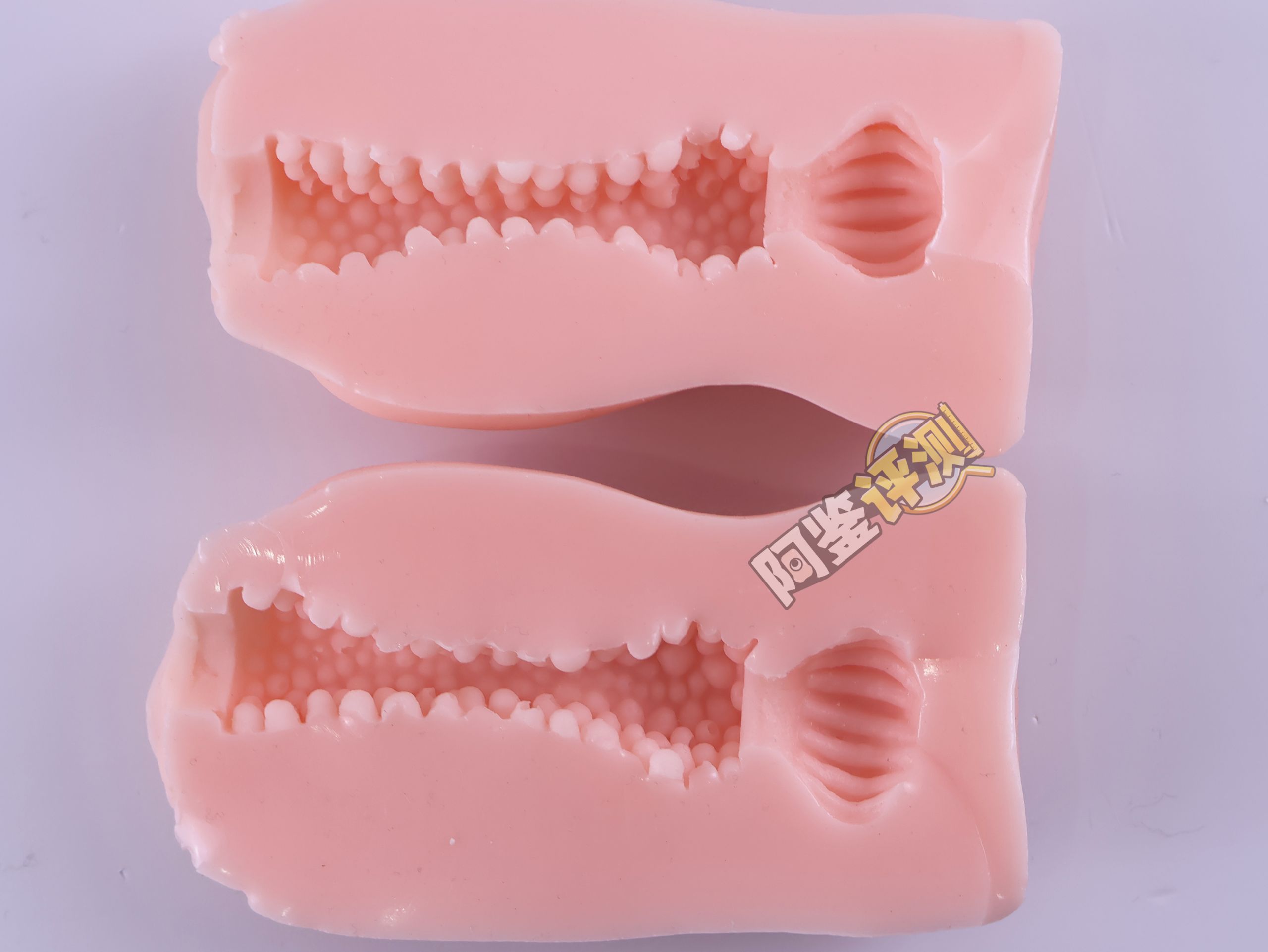 对子哈特——“怀孕中出”评测！简单易懂的舒适度，或许是小杯子的很大卖点