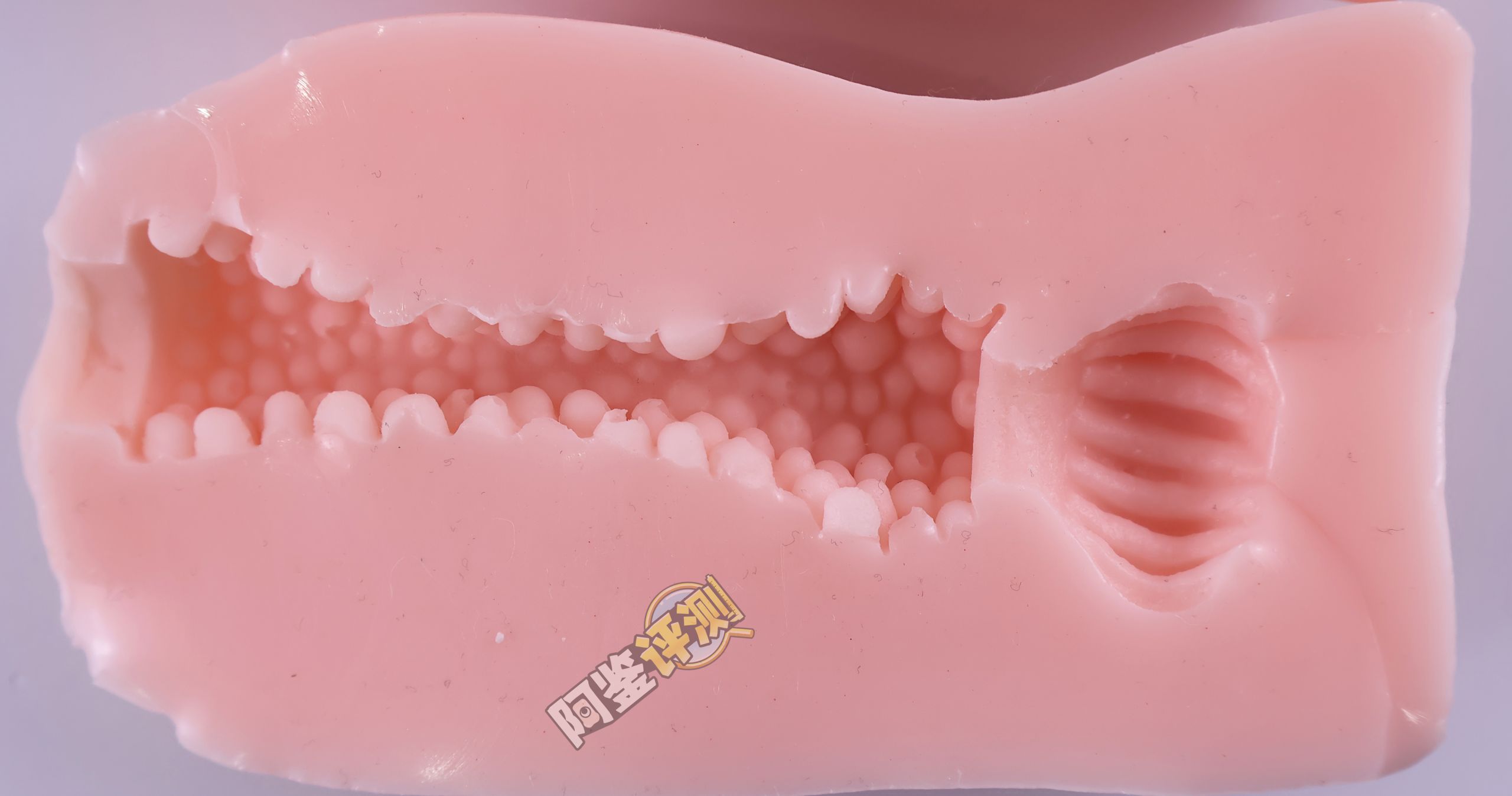 对子哈特——“怀孕中出”评测！简单易懂的舒适度，或许是小杯子的很大卖点