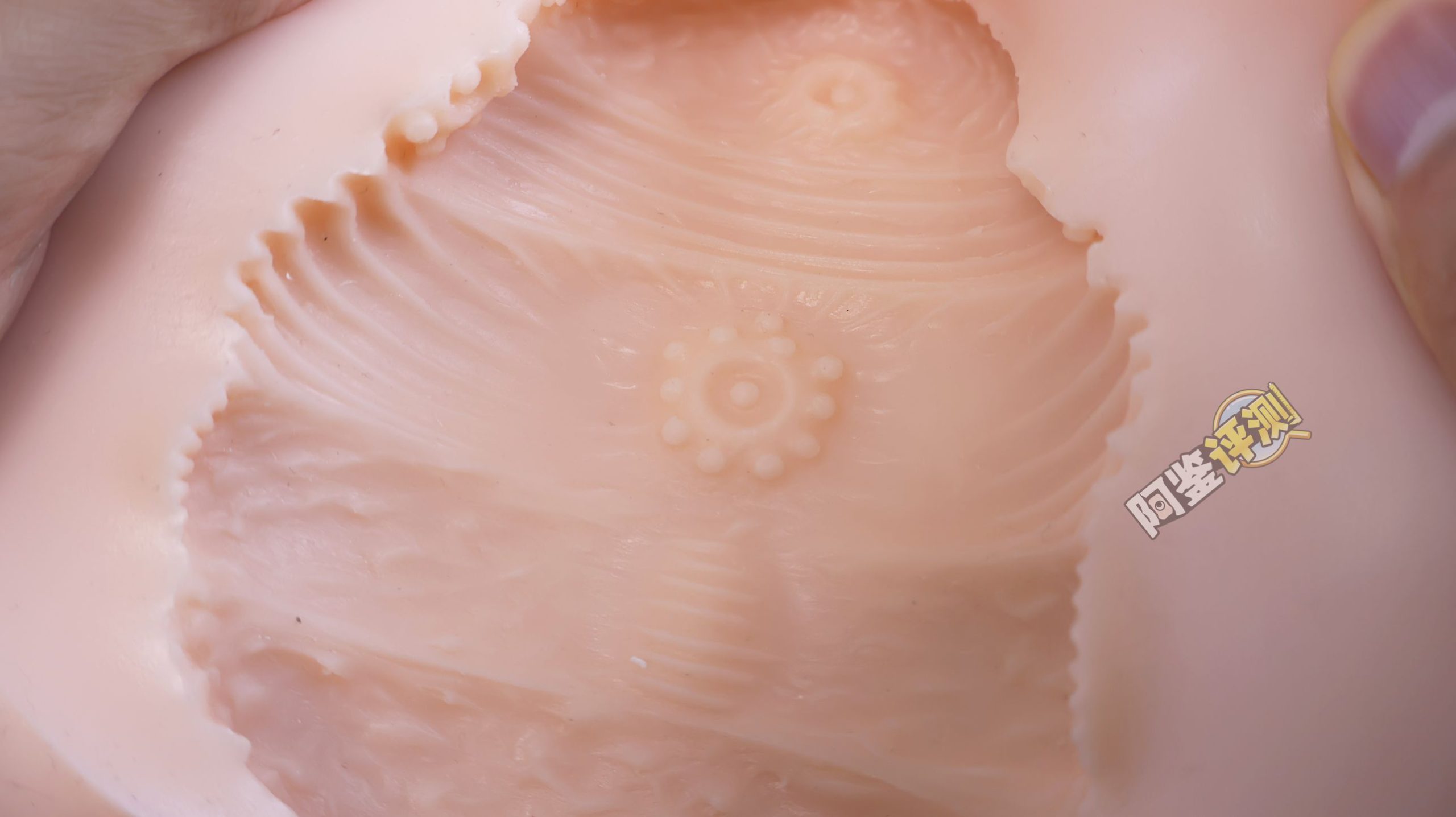 MACCOS——“纯洁之体”评测!少见的带腿小臀模,多种多样的视觉角度