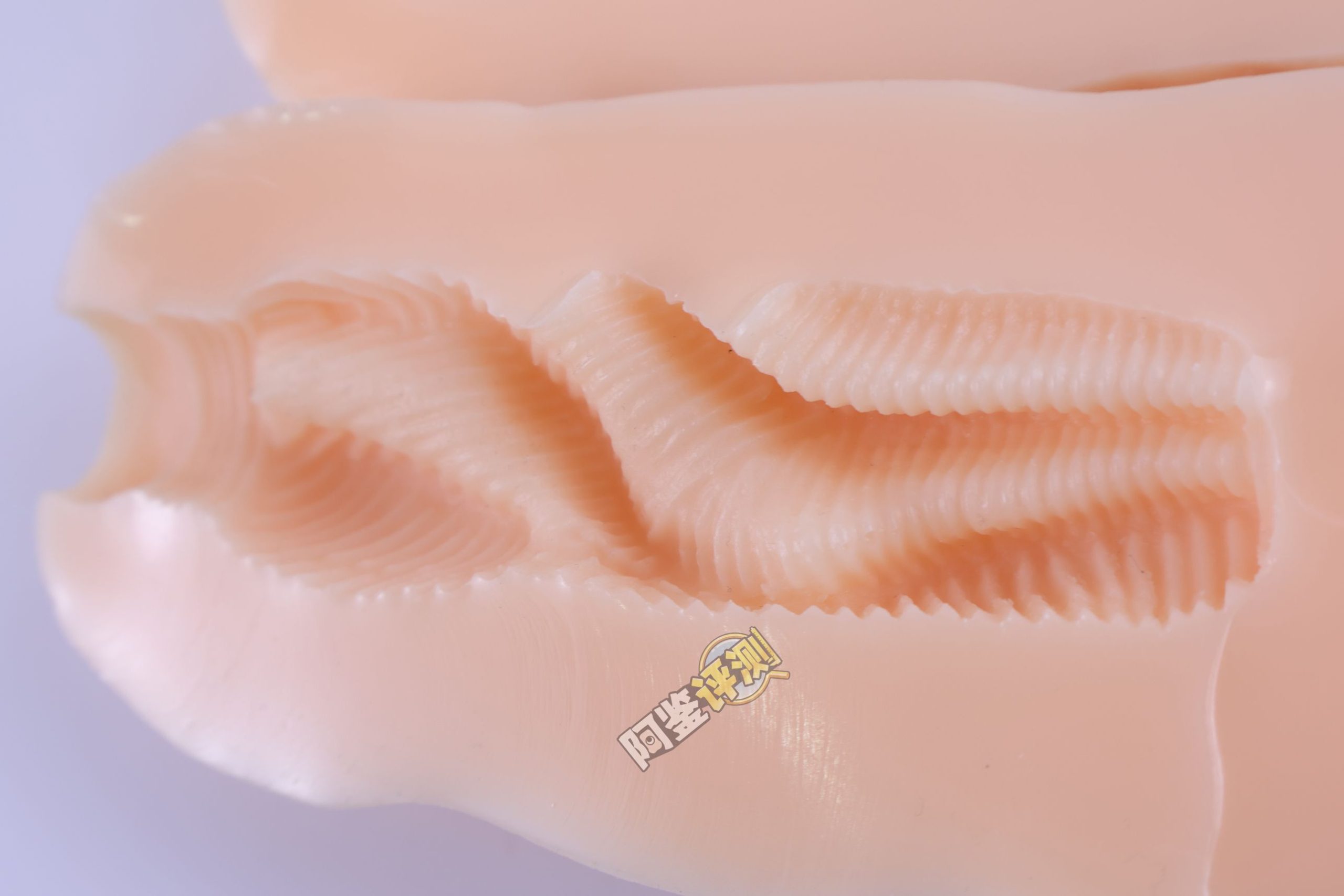 汤马托易士——“山田种牛牧场”评测！如此粗壮的立体结构，果然刺激感相当愉悦