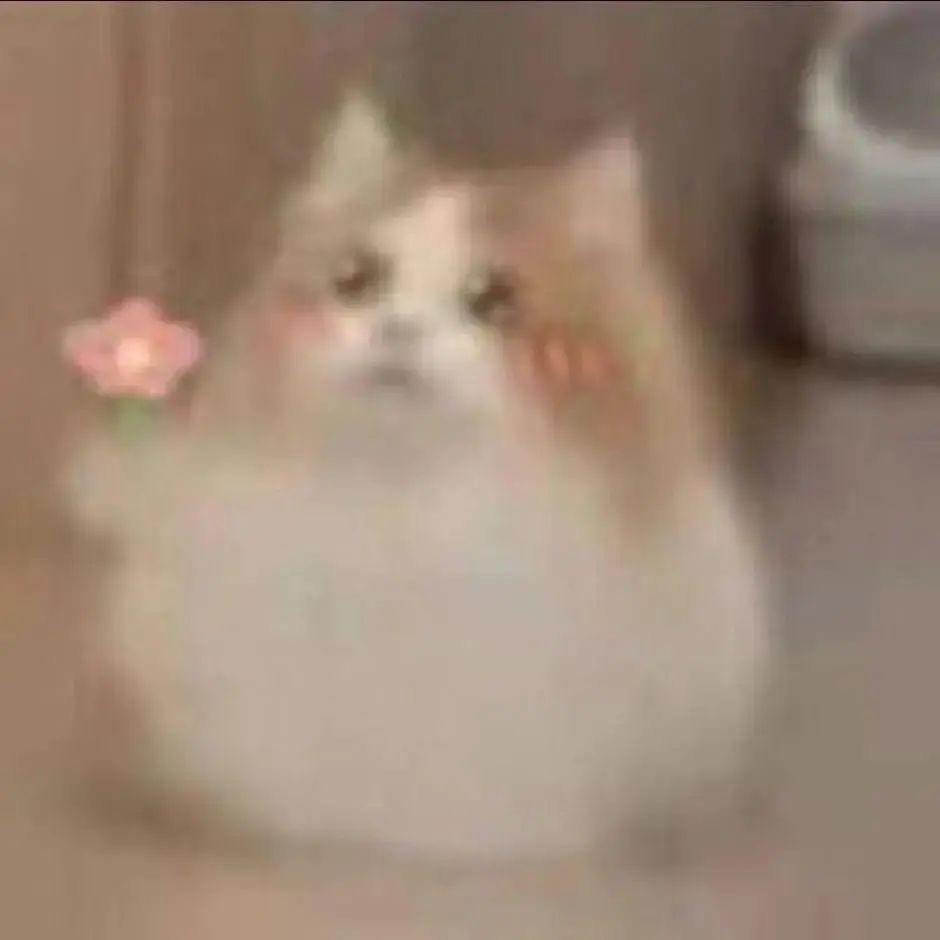 对子哈特——“工口姐姐2代”评测！颗粒部分的成型欠佳，但整体使用感还是不错的