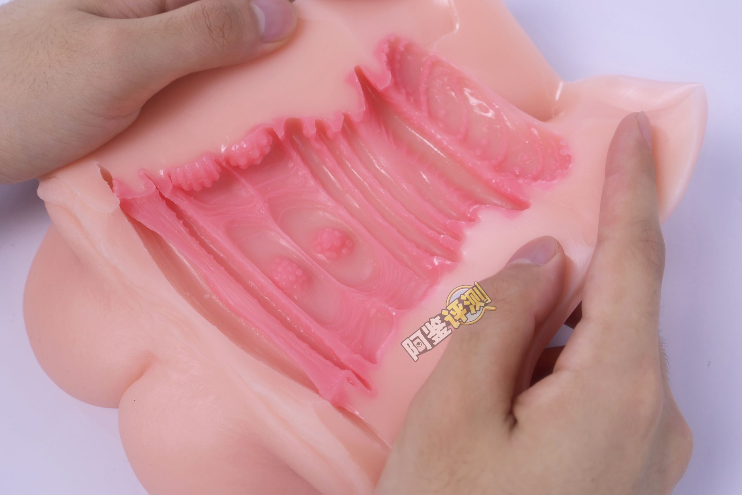 GXP——“白丝壁女2代(hard版）”评测！更加硬质的肉片结构，完全改变了整个杯子的体验画风！