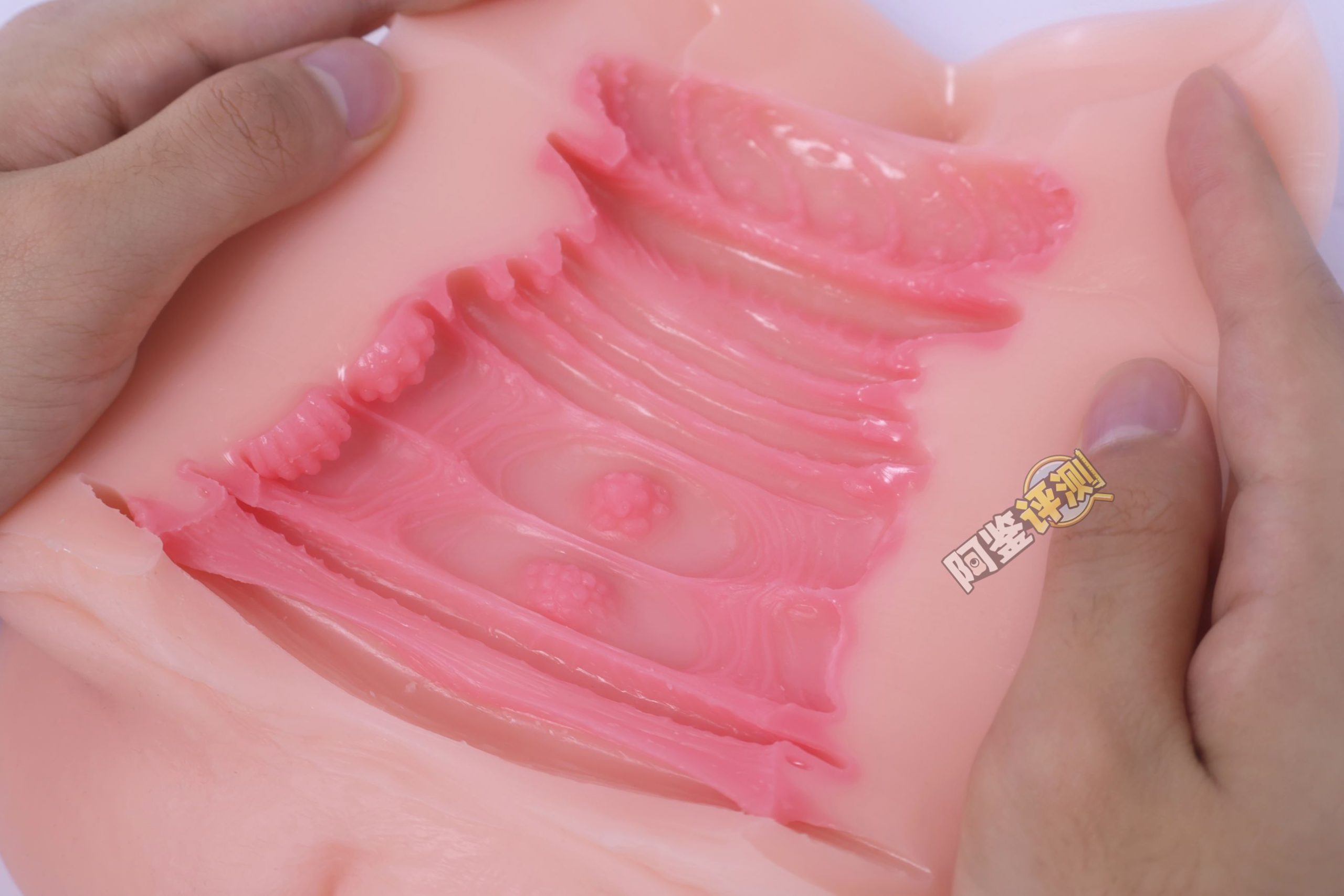 GXP——“白丝壁女2代(hard版）”评测！更加硬质的肉片结构，完全改变了整个杯子的体验画风！