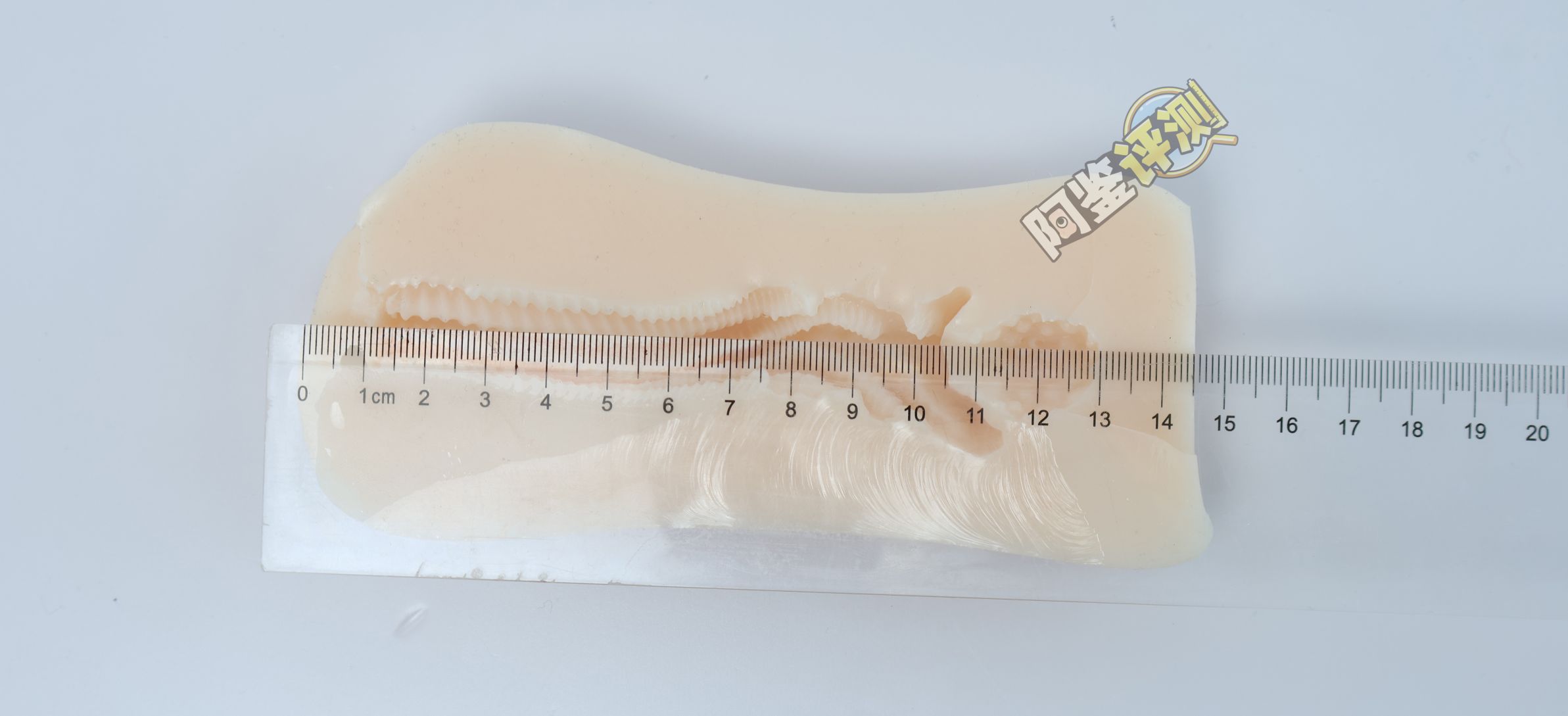 汤玛托易士——“异世界后宫物语—娜塔莉亚”评测！肉片杯这东西真的是越做越无聊了