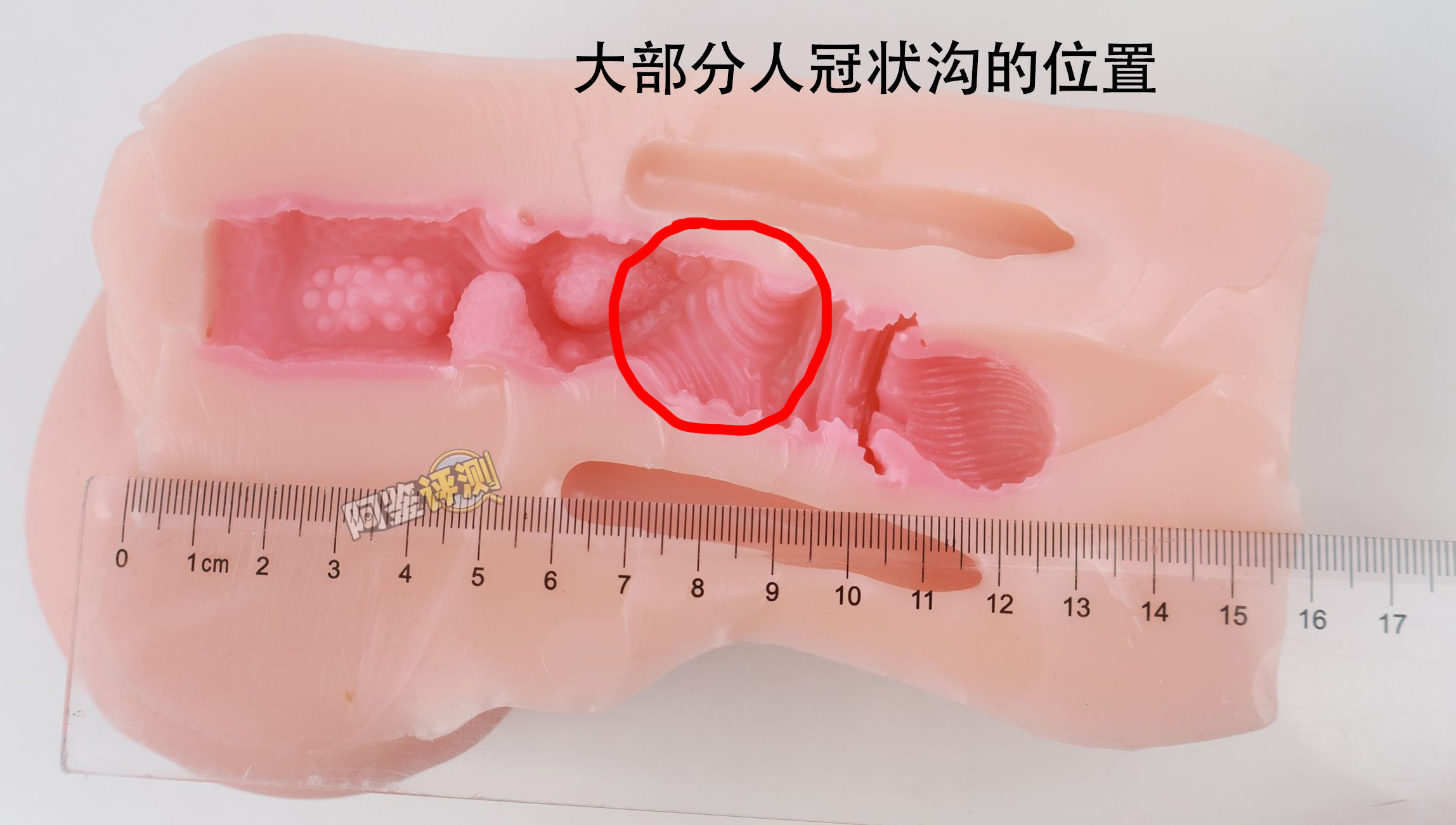 GXP——“克洛叶”评测！全新的“硬球运动”结构，但体验感上似乎有点弱势