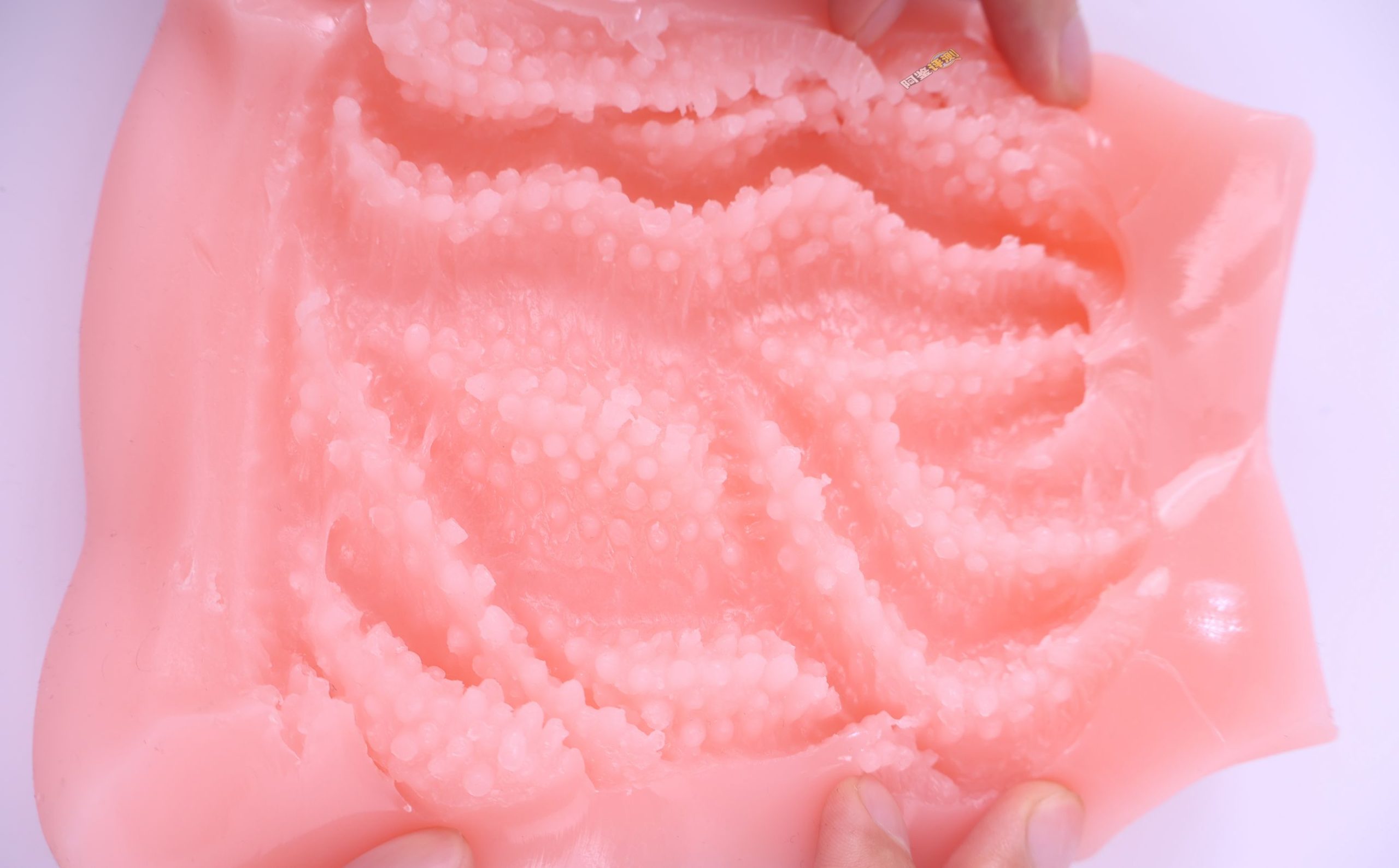 COOLP——“性处理女仆soft”评测!充满技巧但又耐心温柔,棱角舔舐般的慢玩软感