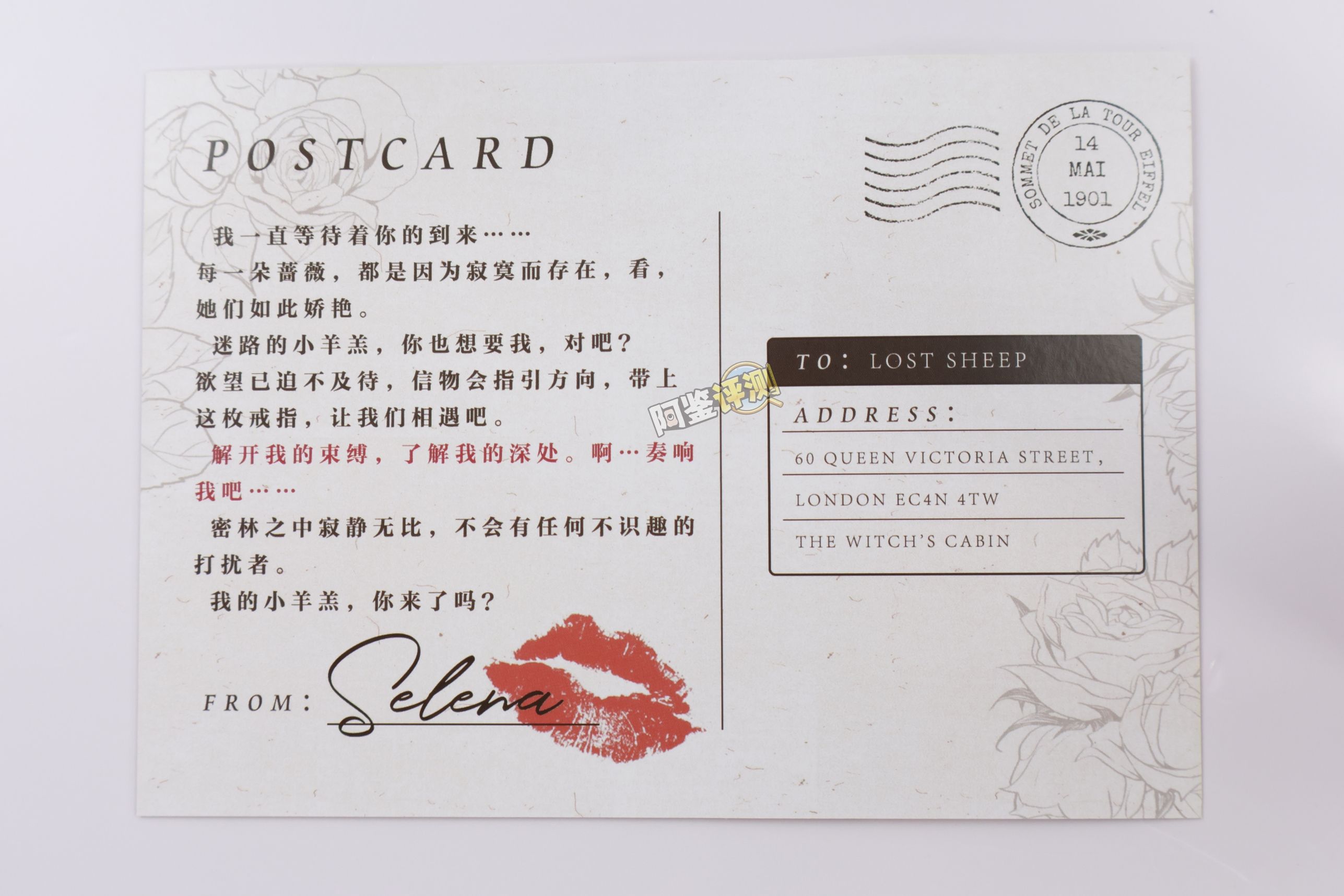 TMT——“魔女之森”评测！除了使用体验以外都挺精致，杯界的时尚小垃圾