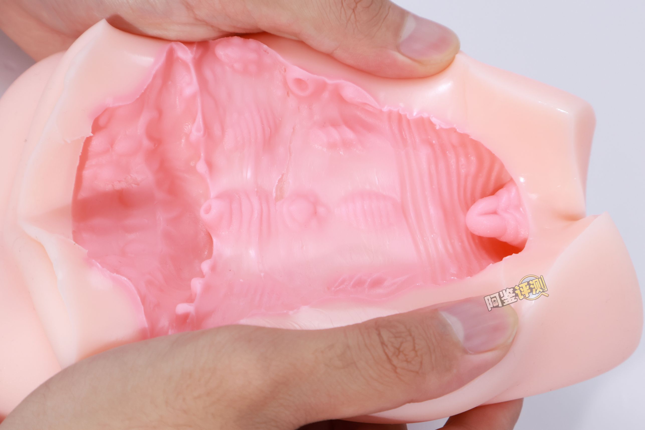 TMT——“魔女之森”评测！除了使用体验以外都挺精致，杯界的时尚小垃圾