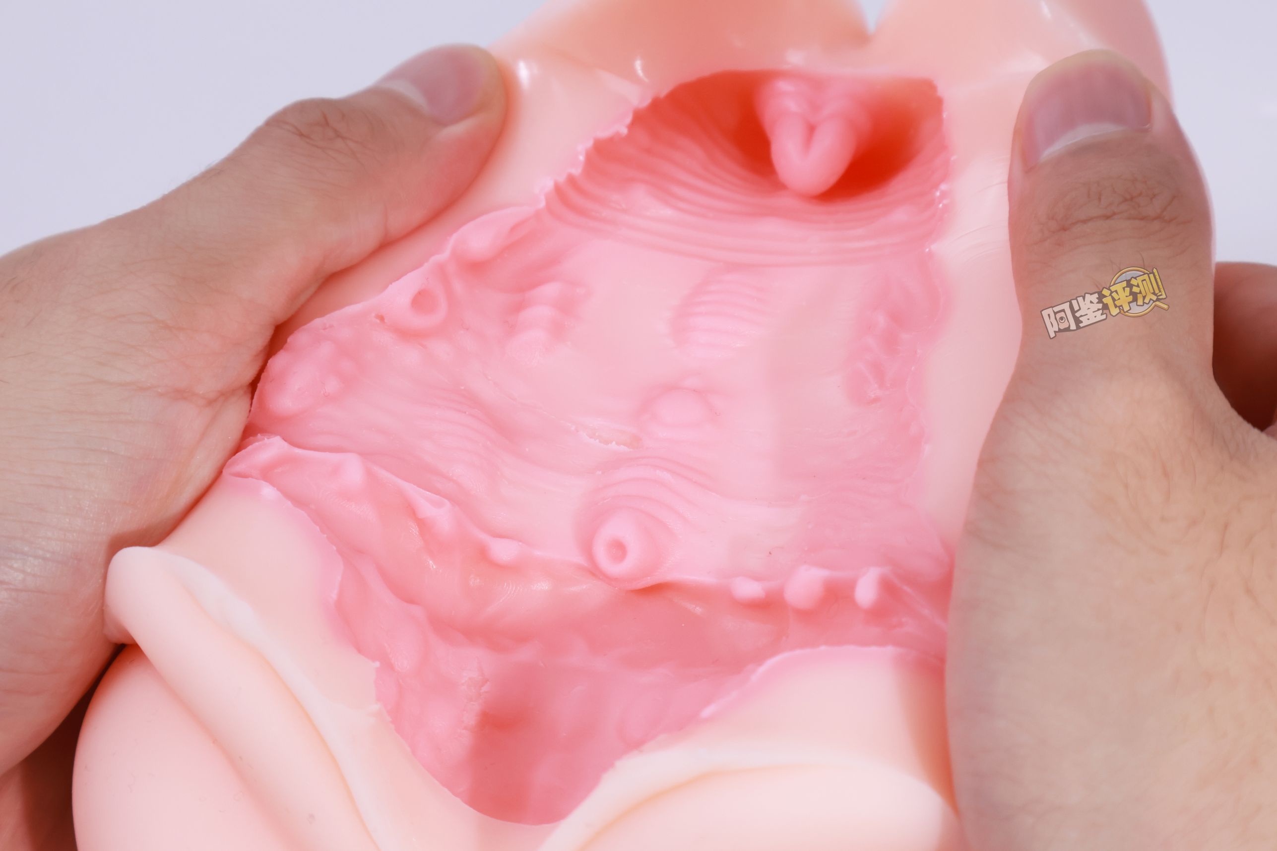 TMT——“魔女之森”评测！除了使用体验以外都挺精致，杯界的时尚小垃圾