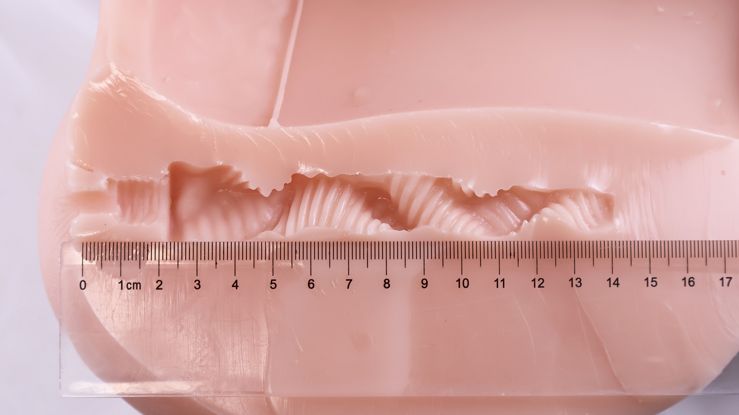 GOSE——“美臀殿堂”评测！即使是“殿堂”级的换穴炮架臀，你会真的选择使用吗？（上）