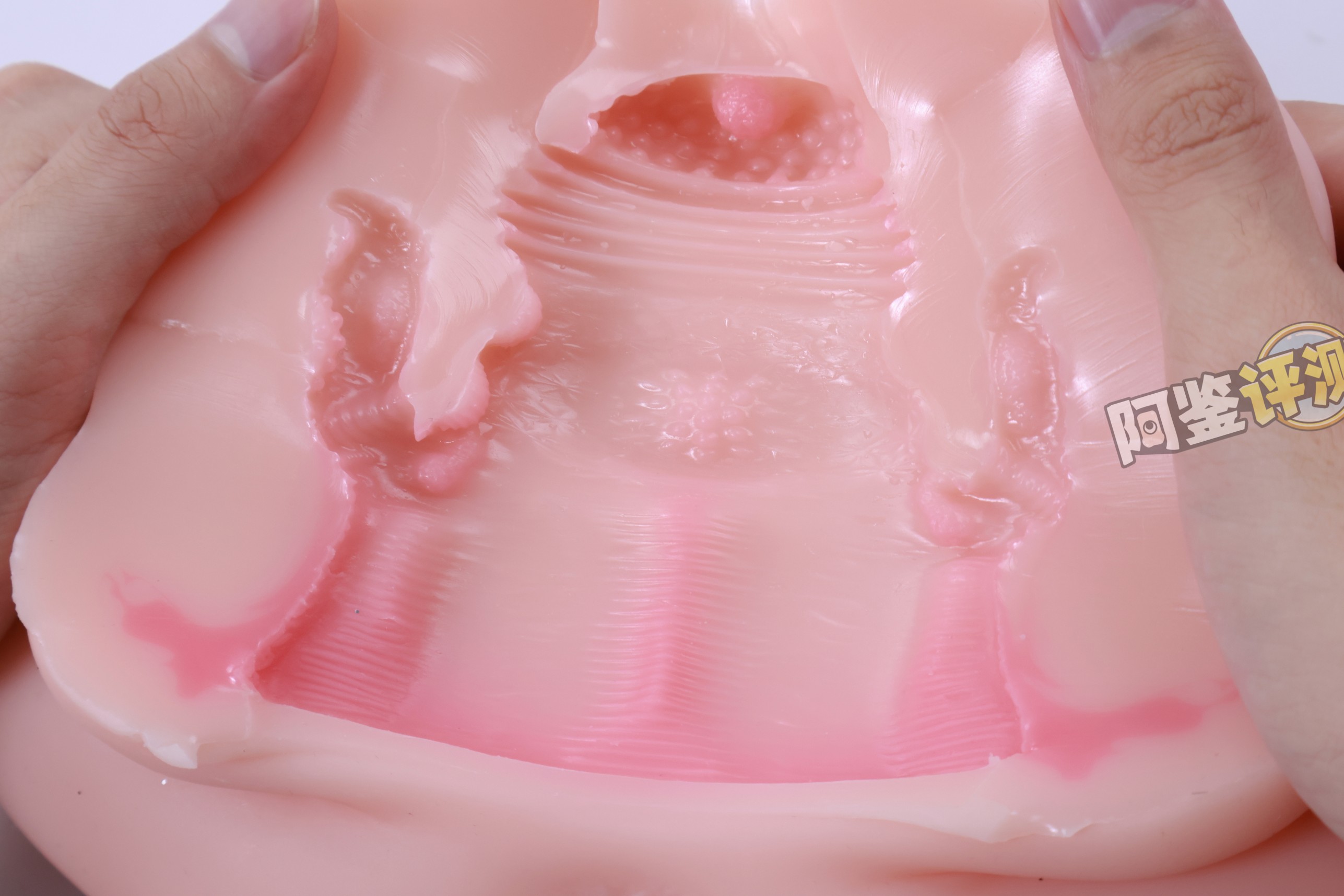 GXP——“兔仆长”评测!猎奇的双子宫小兔几,带腿造型的杯子是怎样体验?