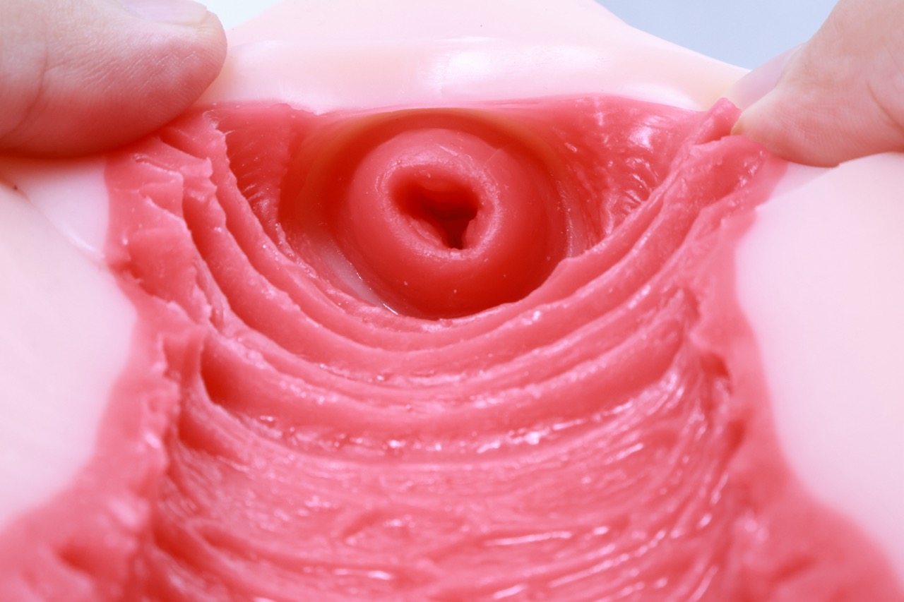 GOSE——“圣洁之宫”评测!猎奇造型的子宫杯与新设计的排气结构,是不是真的能吸?