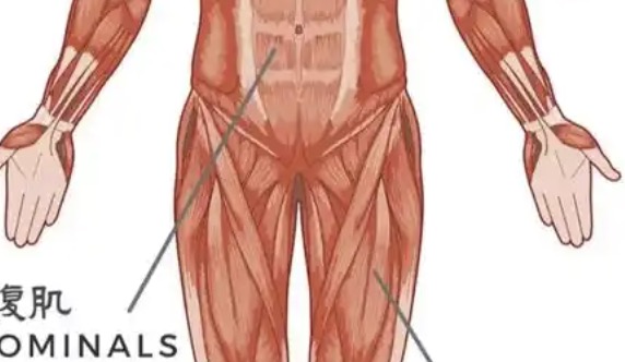 RQS——“爱妻素体”评测！孩子最爱吃的长乳软奶！可惜使用时的插入角度翻大车