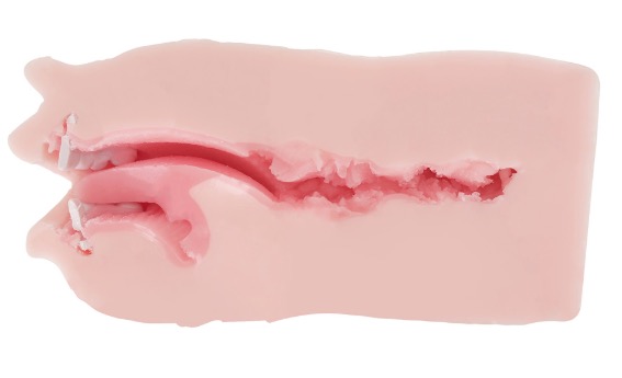 魔眼——“真实之口-极上浪漫主义”评测！口杯大王的十周年续作，招牌黏胶和硬牙齿组合的回归