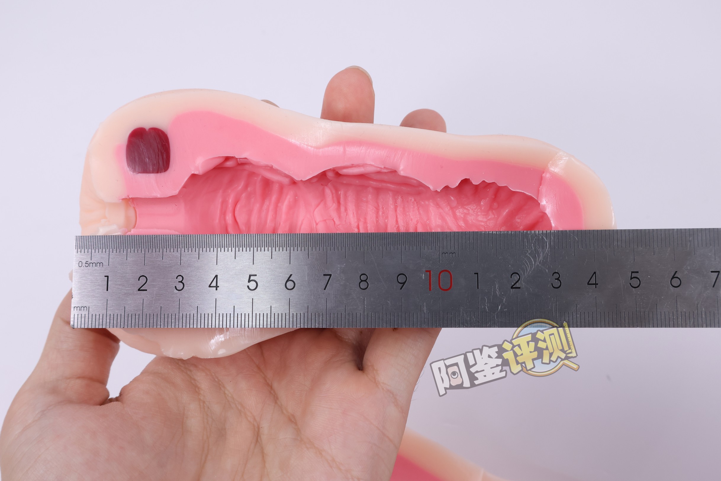 对子哈特——“性徒会长”评测！自慰套一般的贫瘠体验，如今几乎毫无价值的上古菊花杯