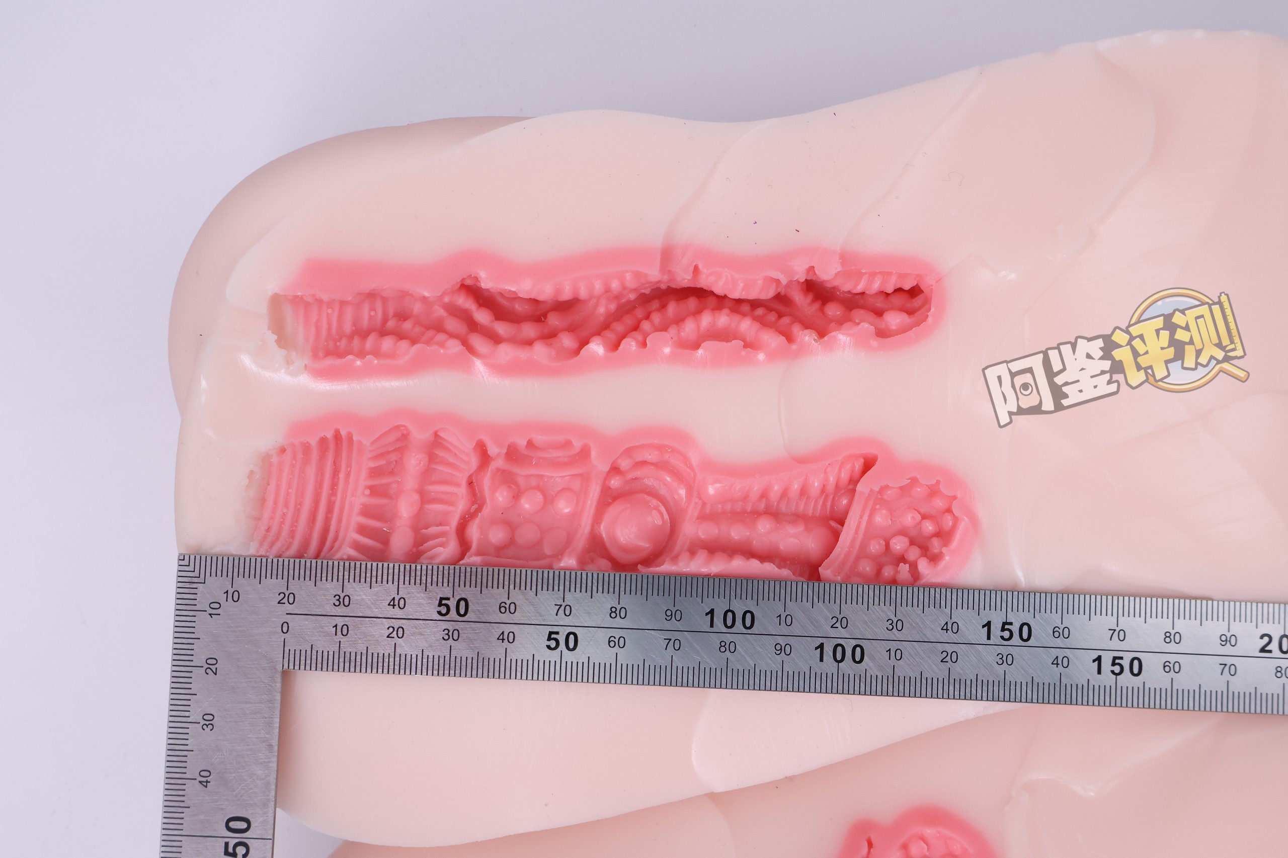 YOKUBOU——“贫乳兔娘”评测！通道体验很弱但重量拉满，方正小身体类别的高配版本！