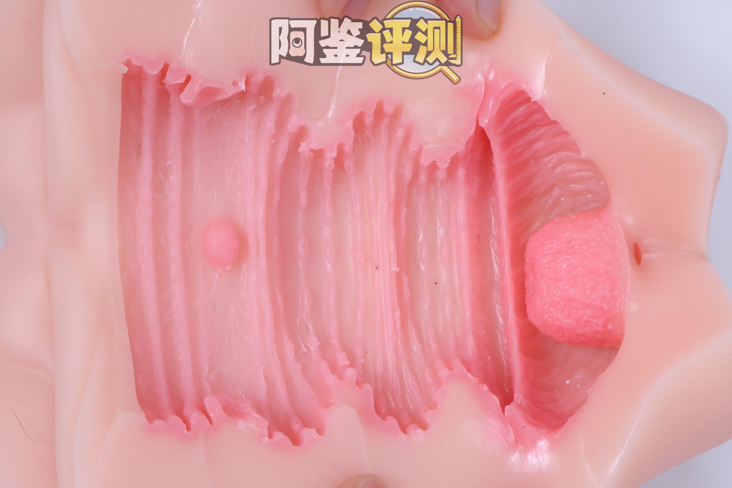 RQS——“梦幻精灵”评测！独特的厚实末端子宫设计，不过实用度好像没有那么高