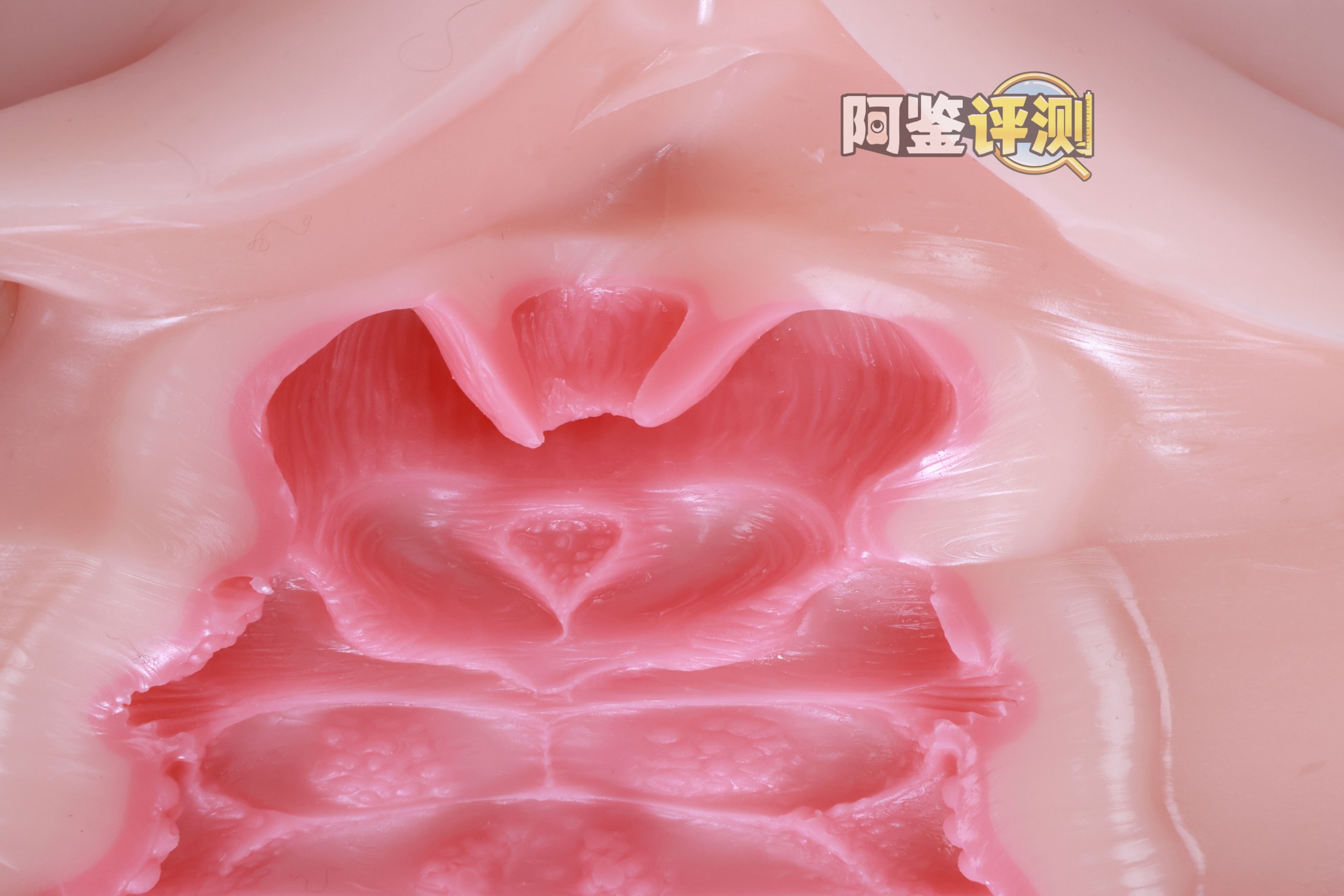 kaguyano——“油醋汁”评测！更适合后入的翘臀肉浪，不过因为造型缘故正面会有些塌陷