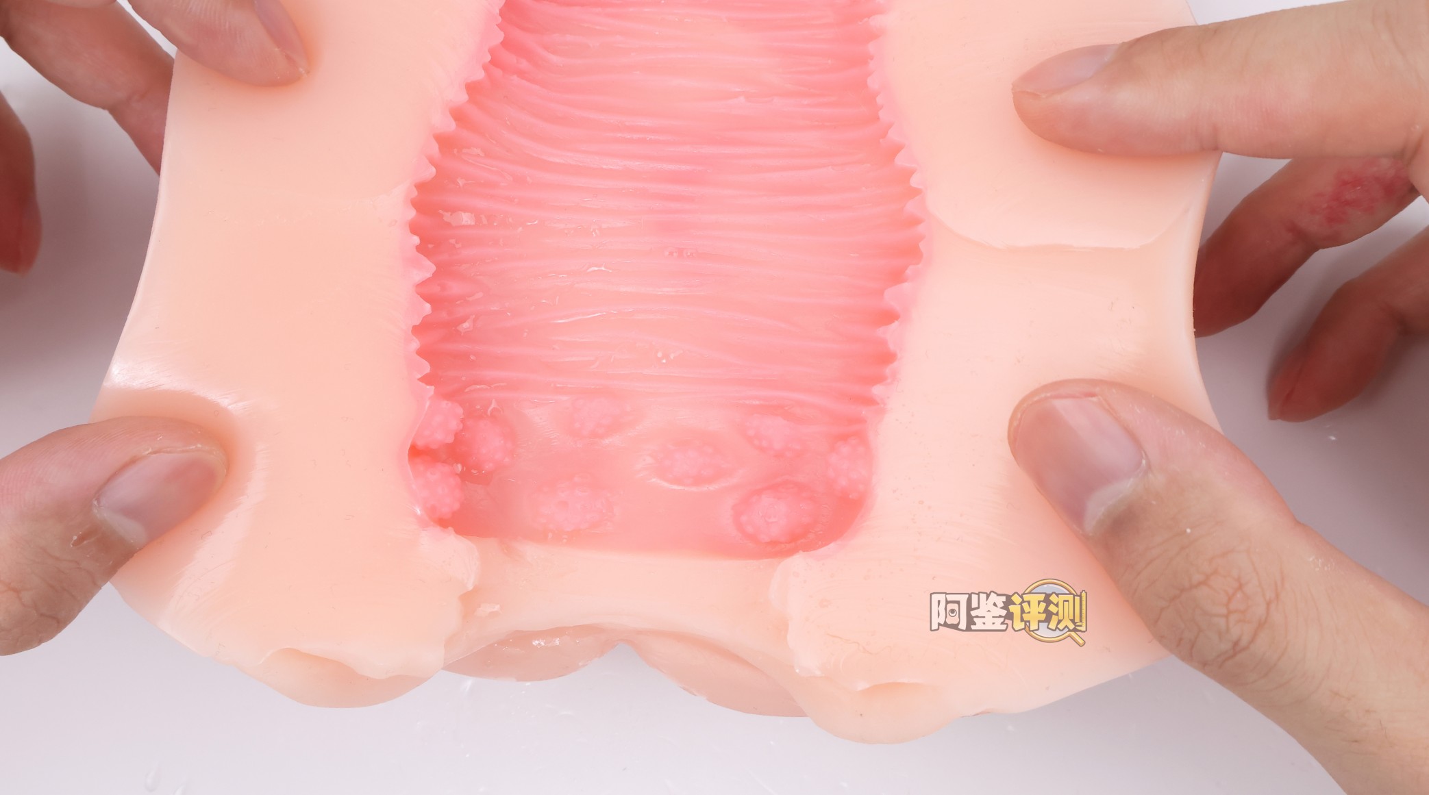 GXP——“SG研究社（1代）”评测！带一点幻想元素的仿解刨结构飞机杯！