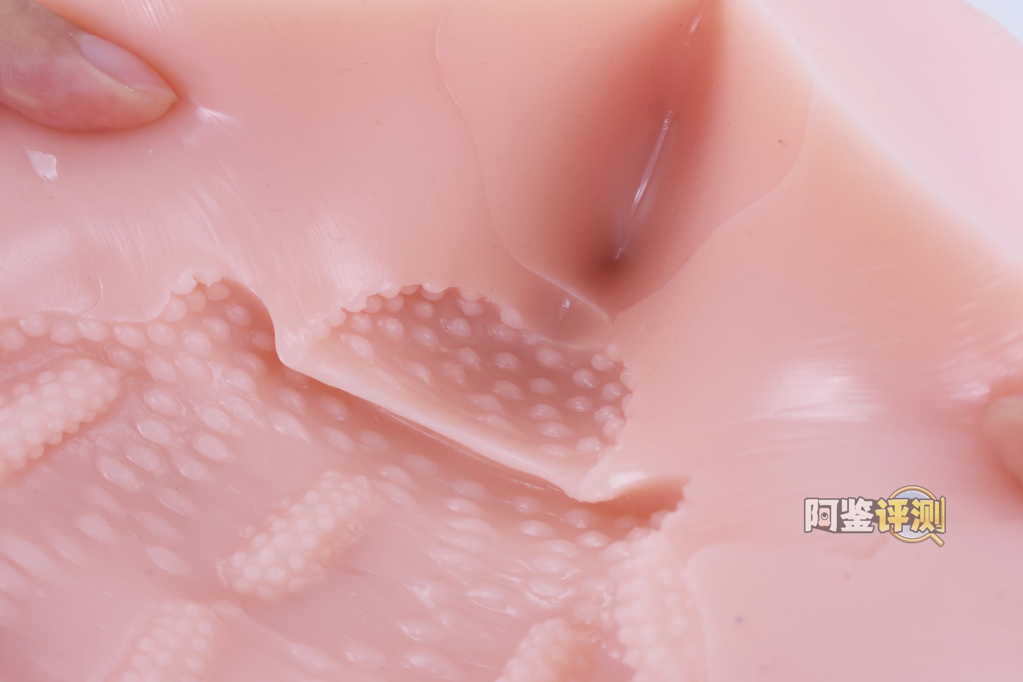 对子哈特——“唯樱璃”评测！再次更换材料的6kg性价比款臀模，非常“平均”的常规PP